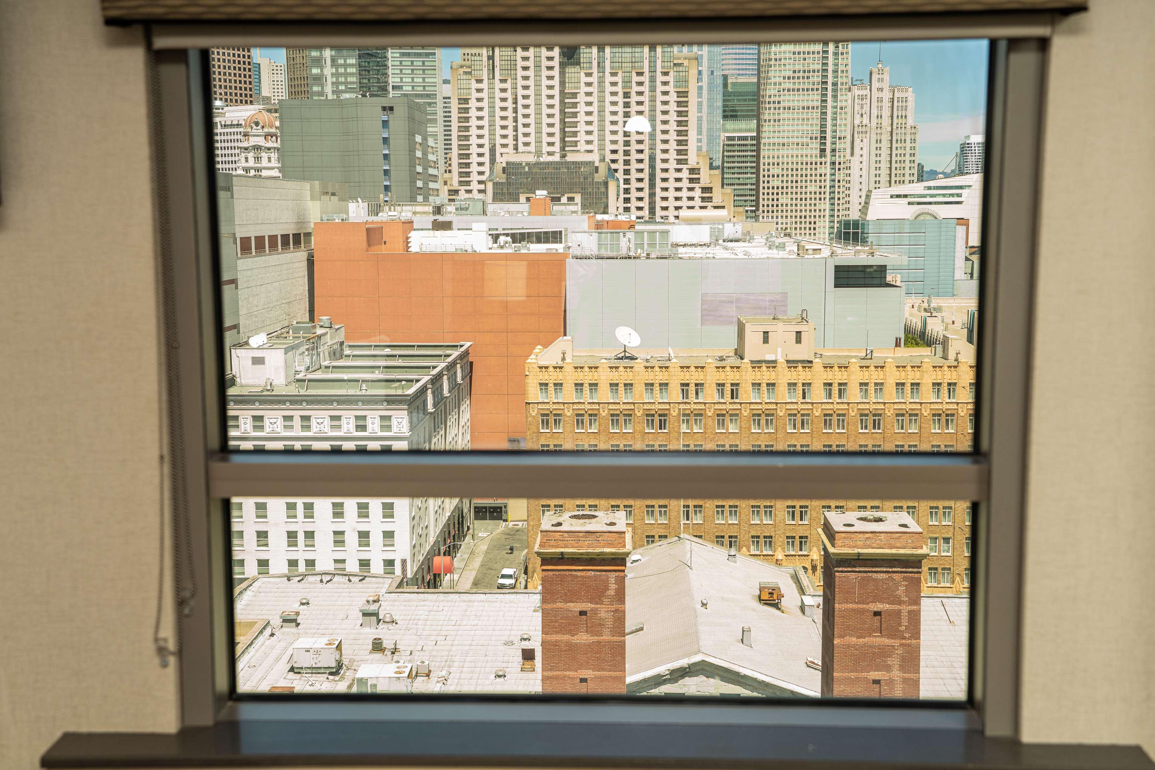 Double City View King Bed