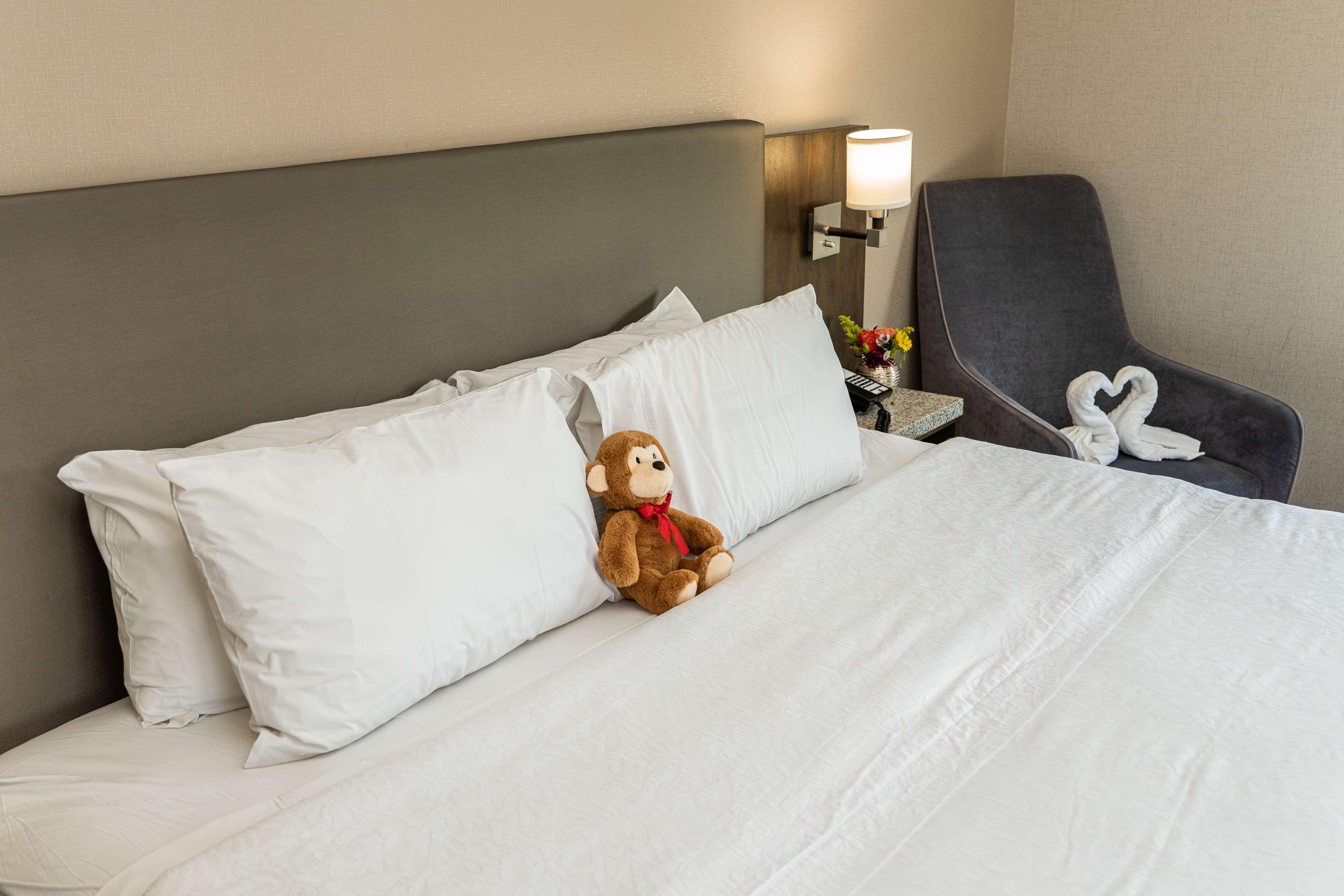 Double City View King Bed