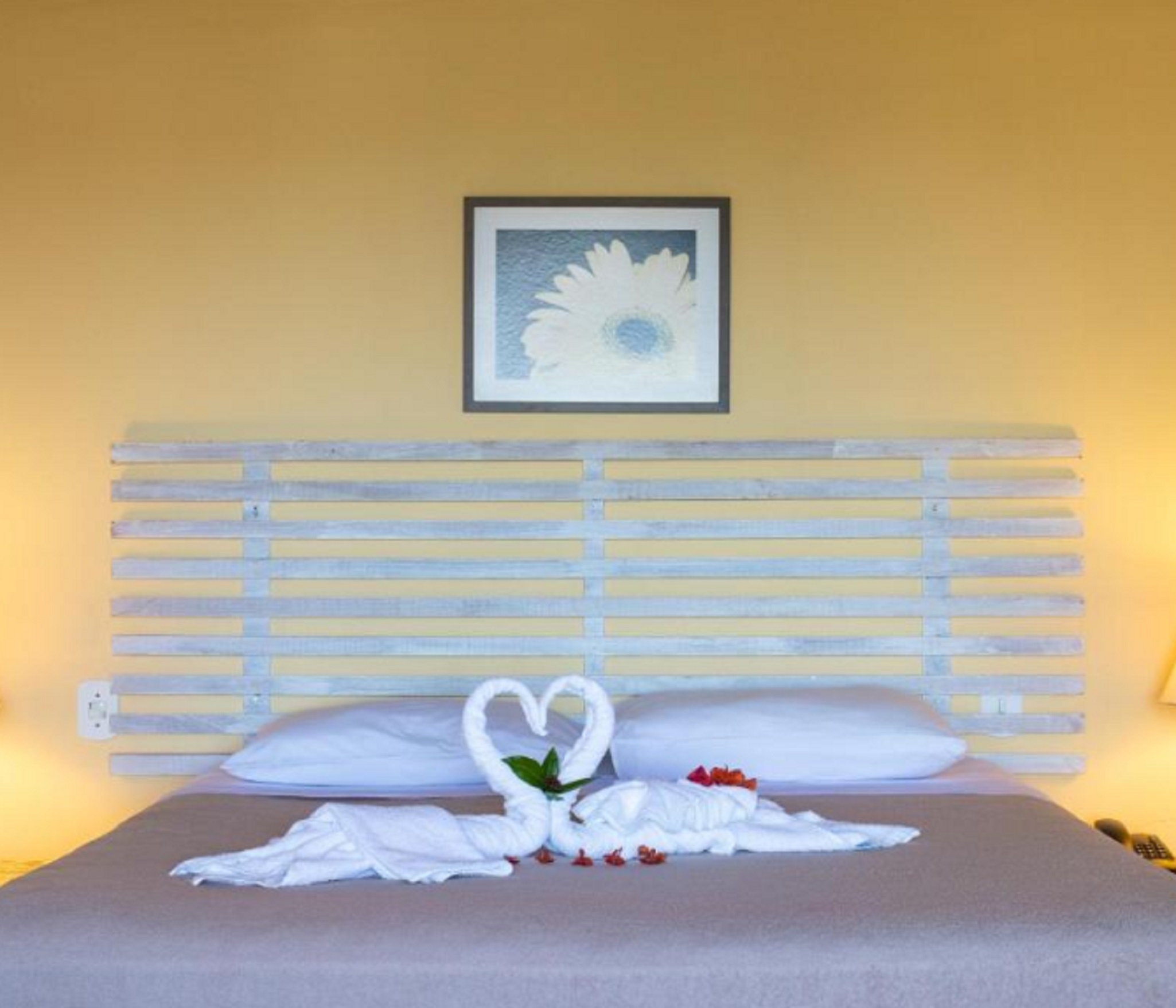 Suite Superior Ocean View