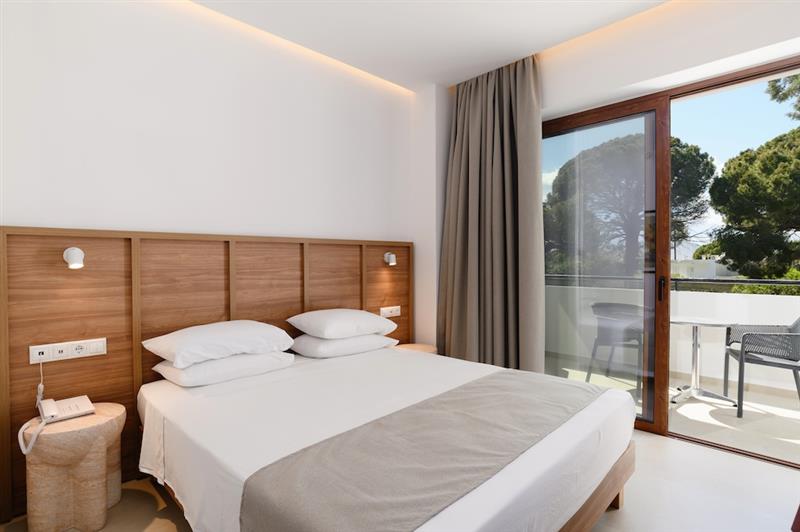 Double or Twin Standard