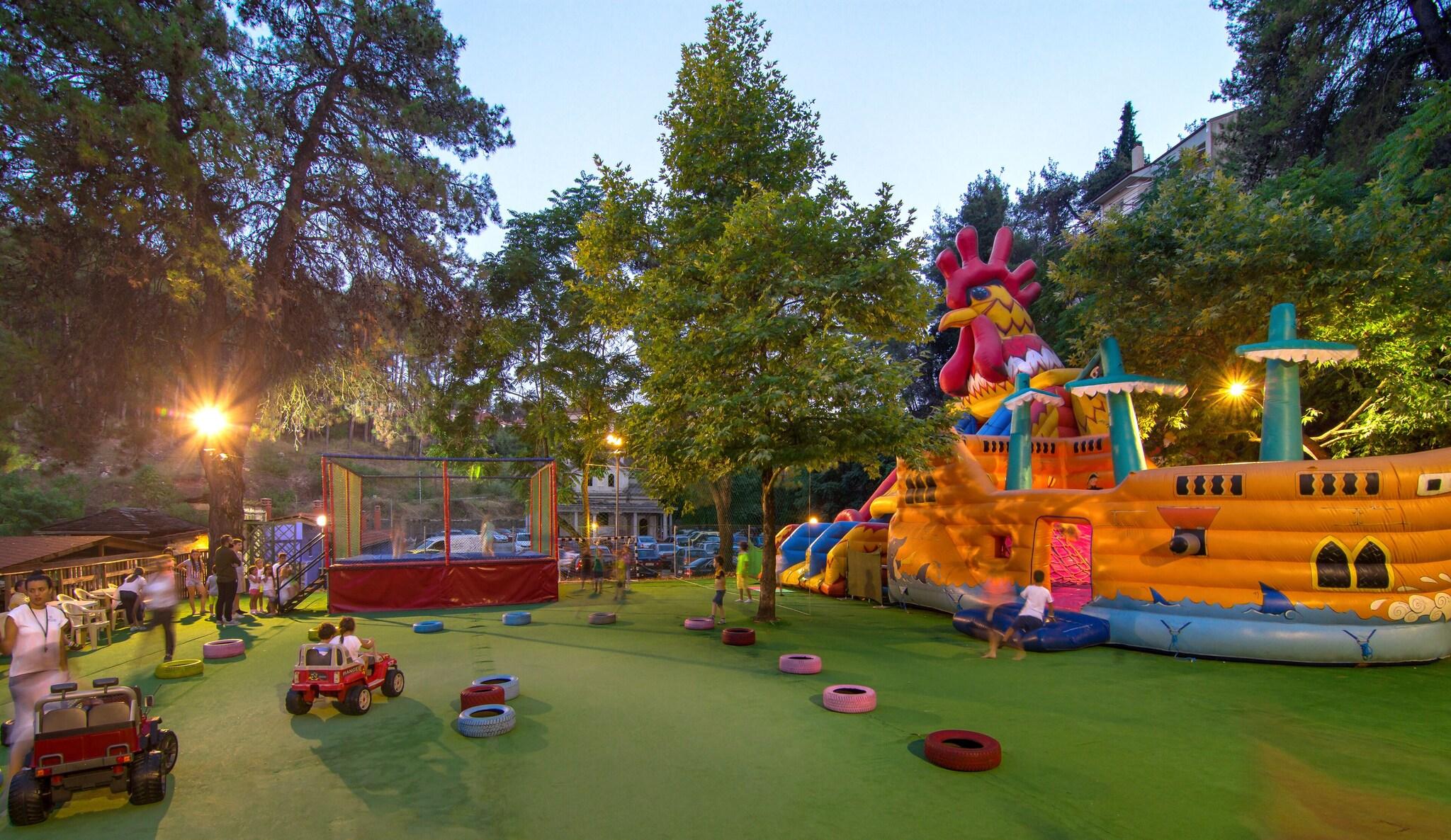 Sports and Entertainment