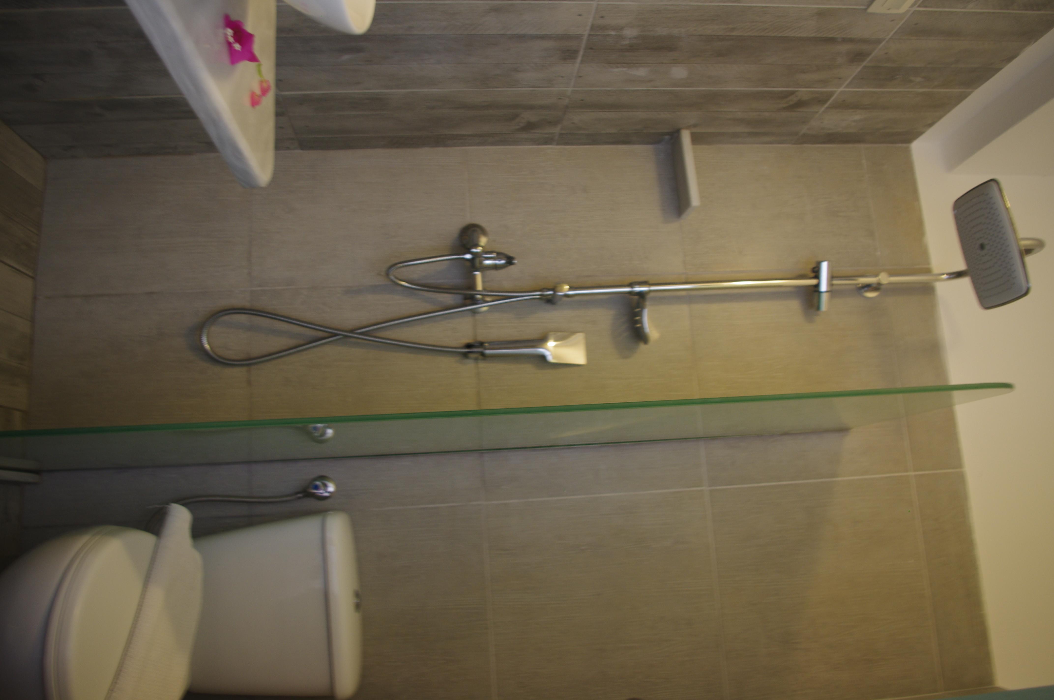 Double or Twin Economy