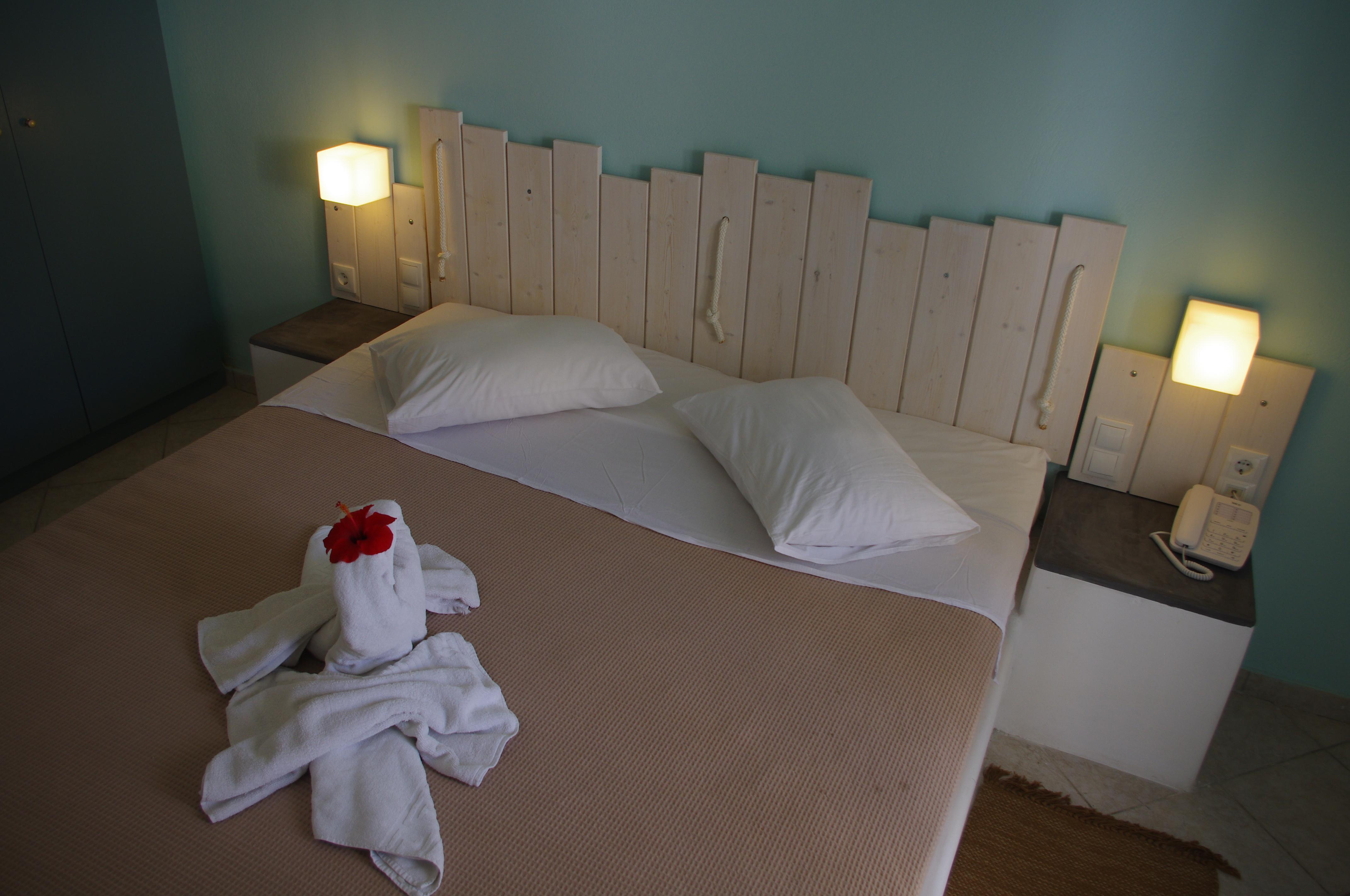 Double or Twin Economy