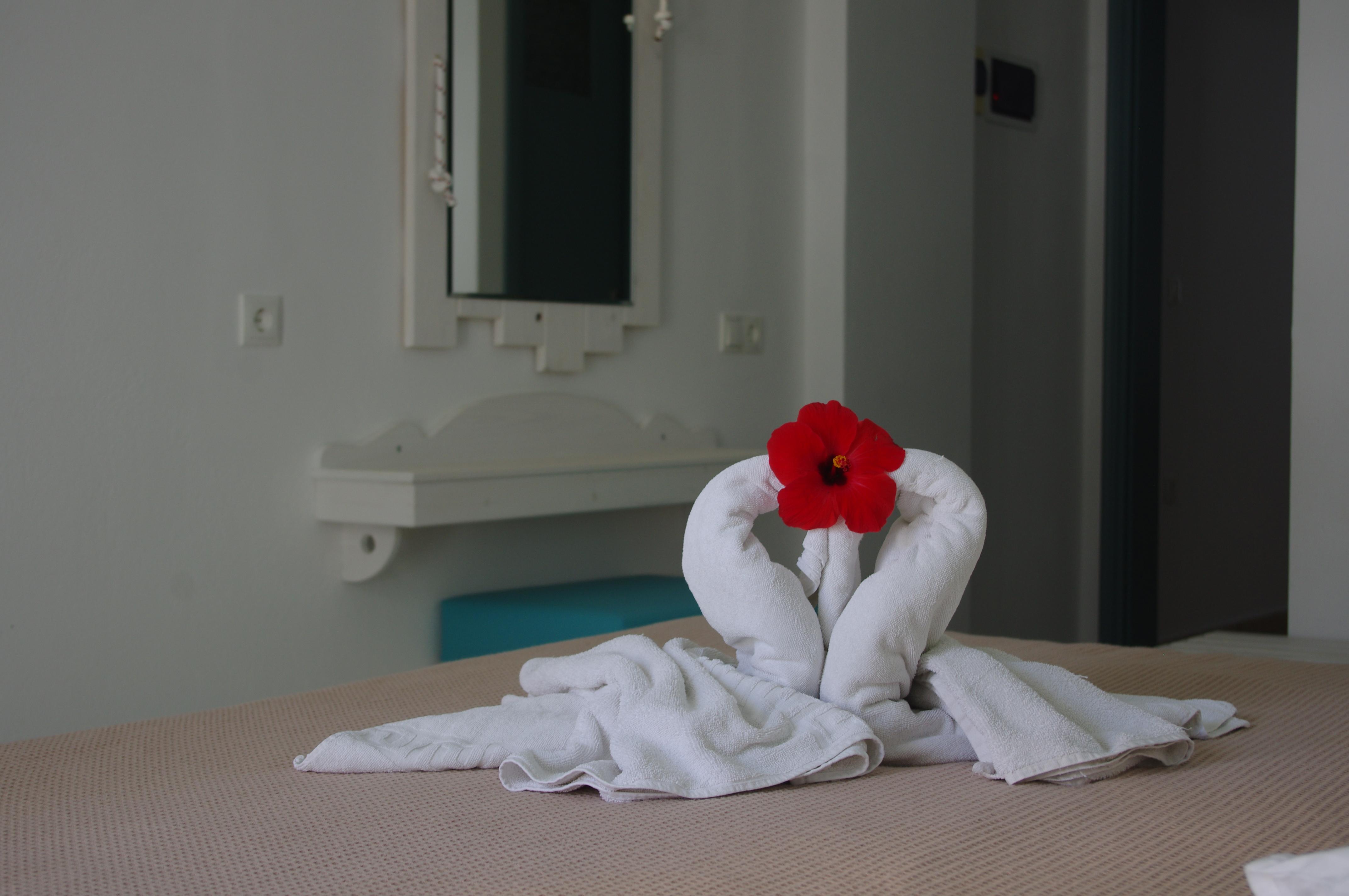 Double or Twin Economy