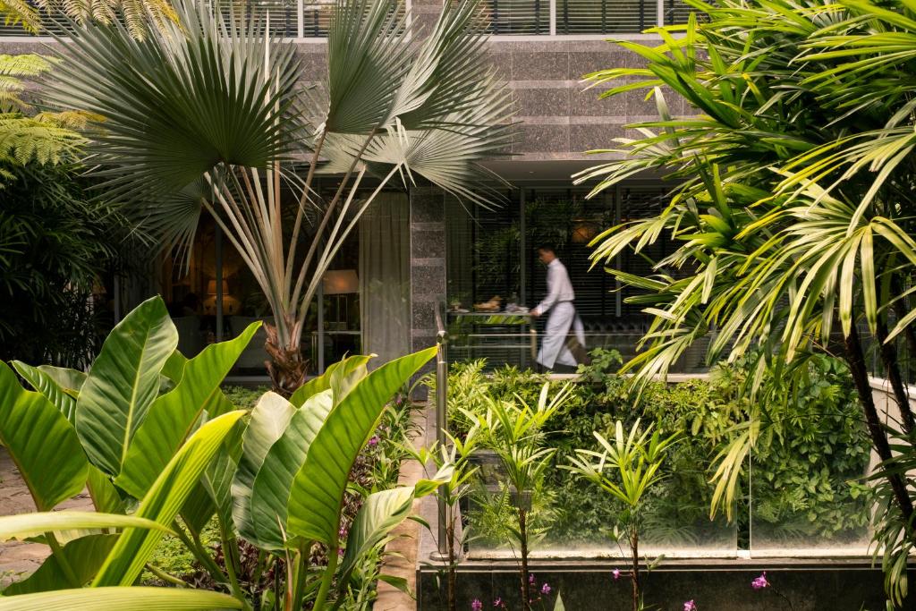 Double or Twin Mountain View