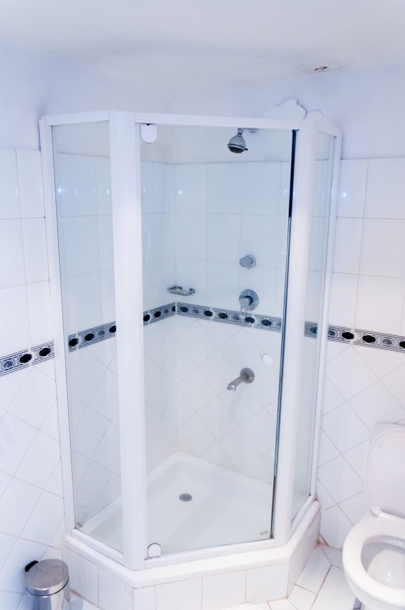 Double Classic Garden View