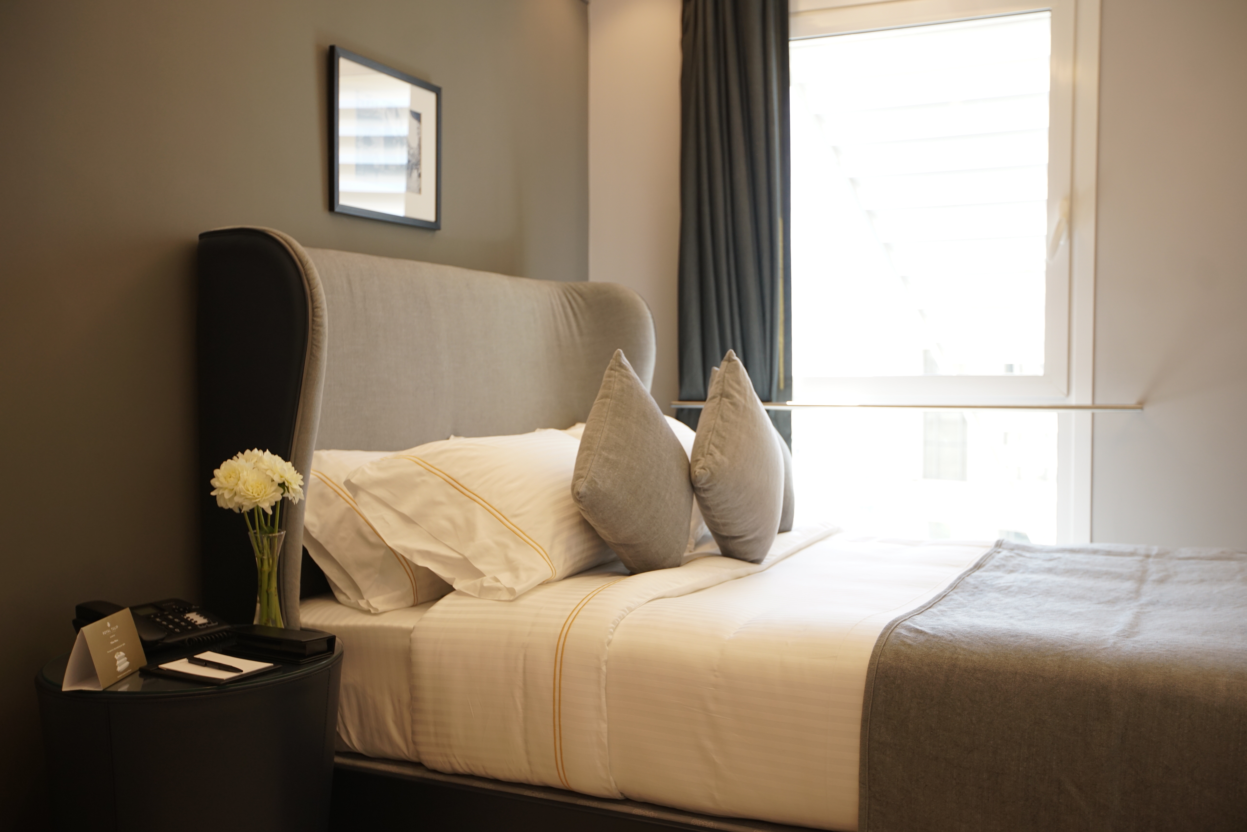 Single Queen Size Bed