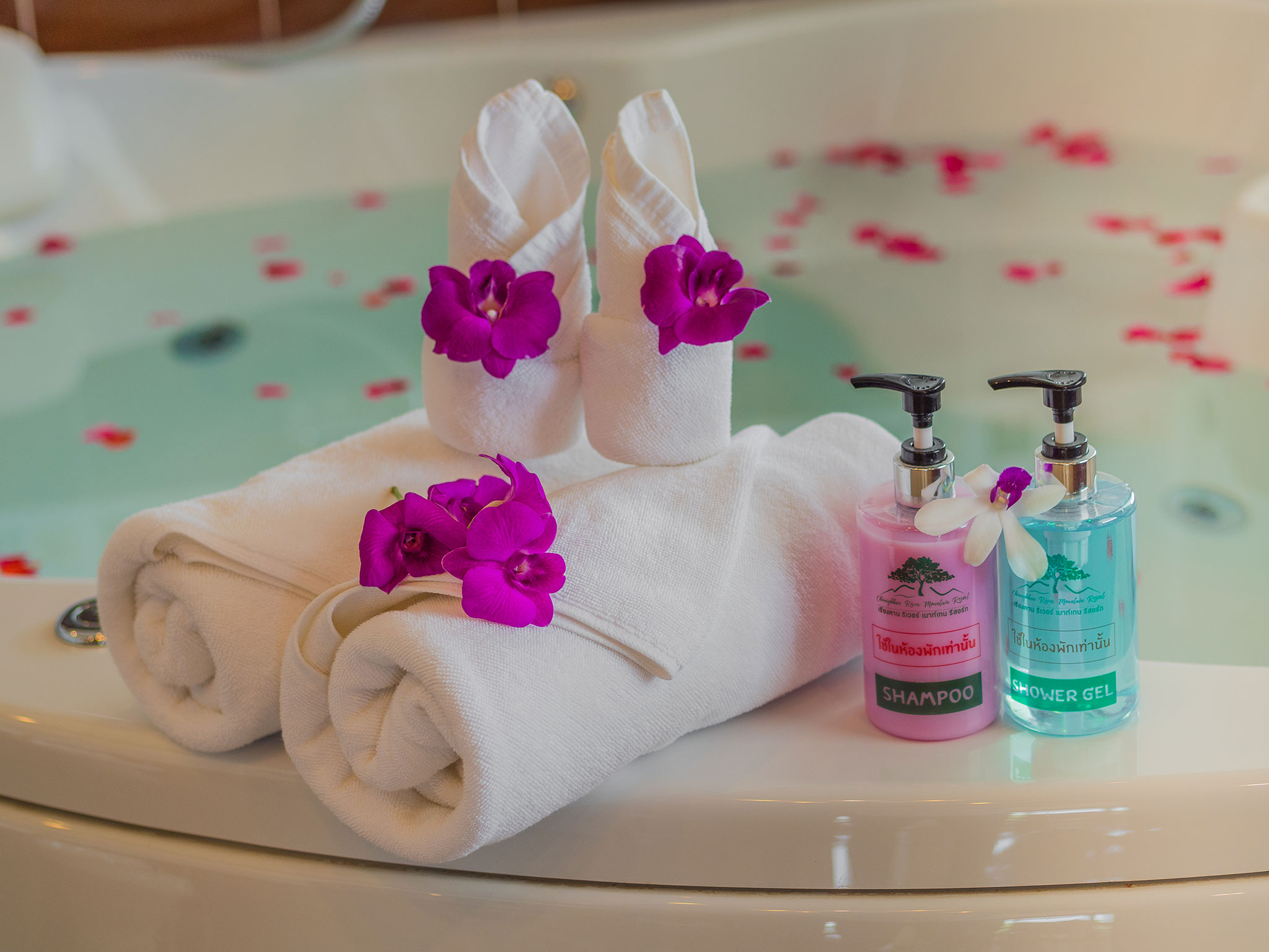 Suite Deluxe River View