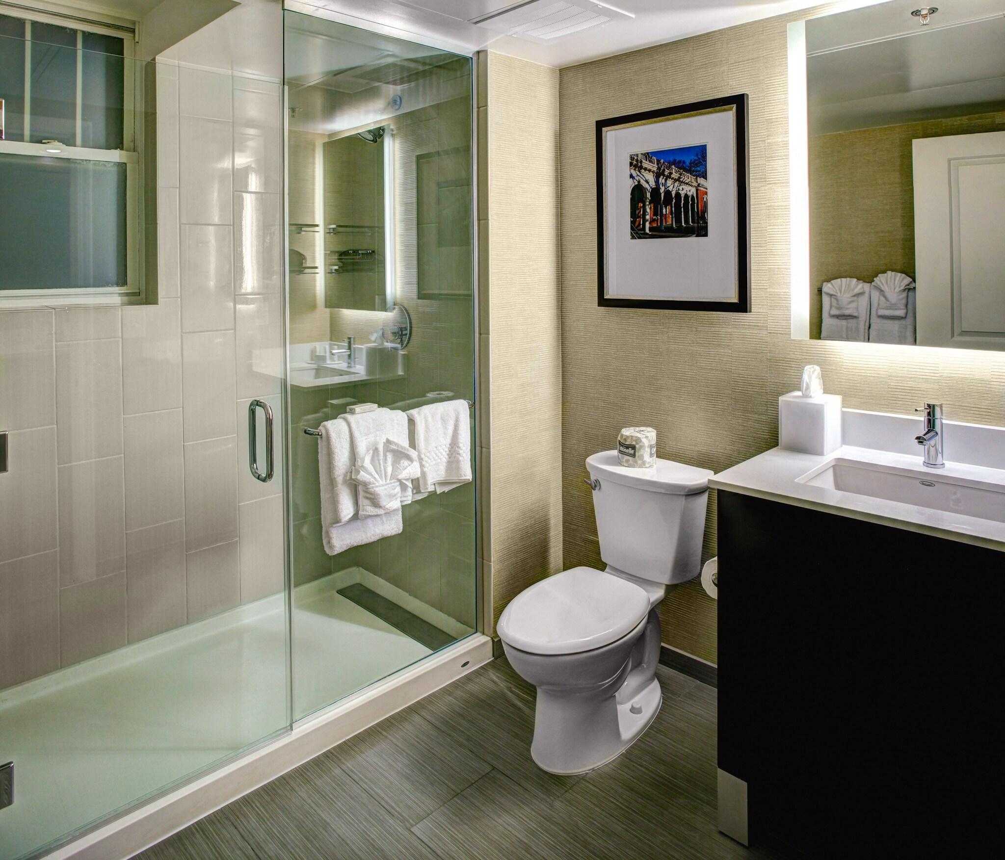 Studio Queen Size Bed