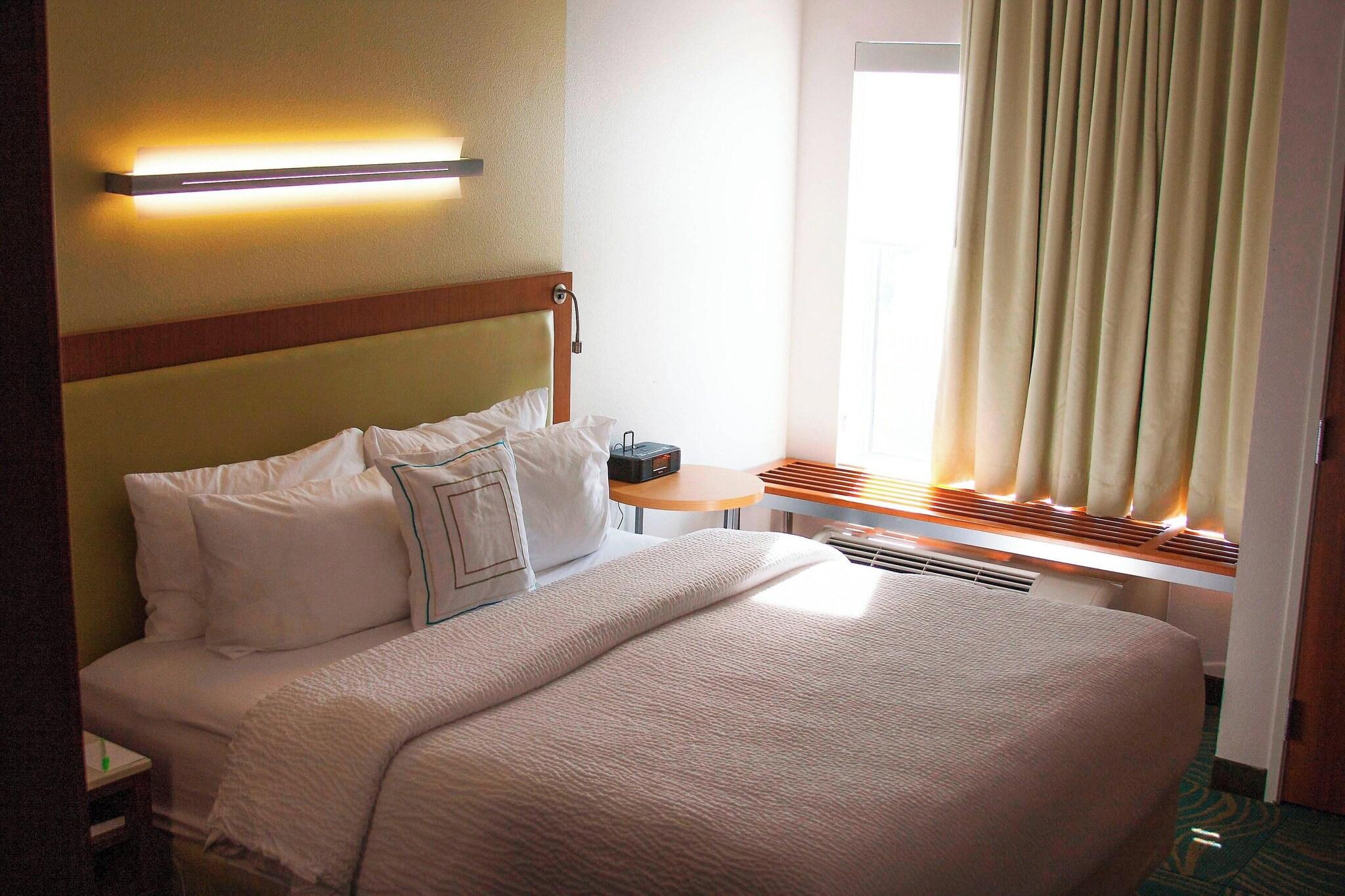 Studio Accessible King Size Bed