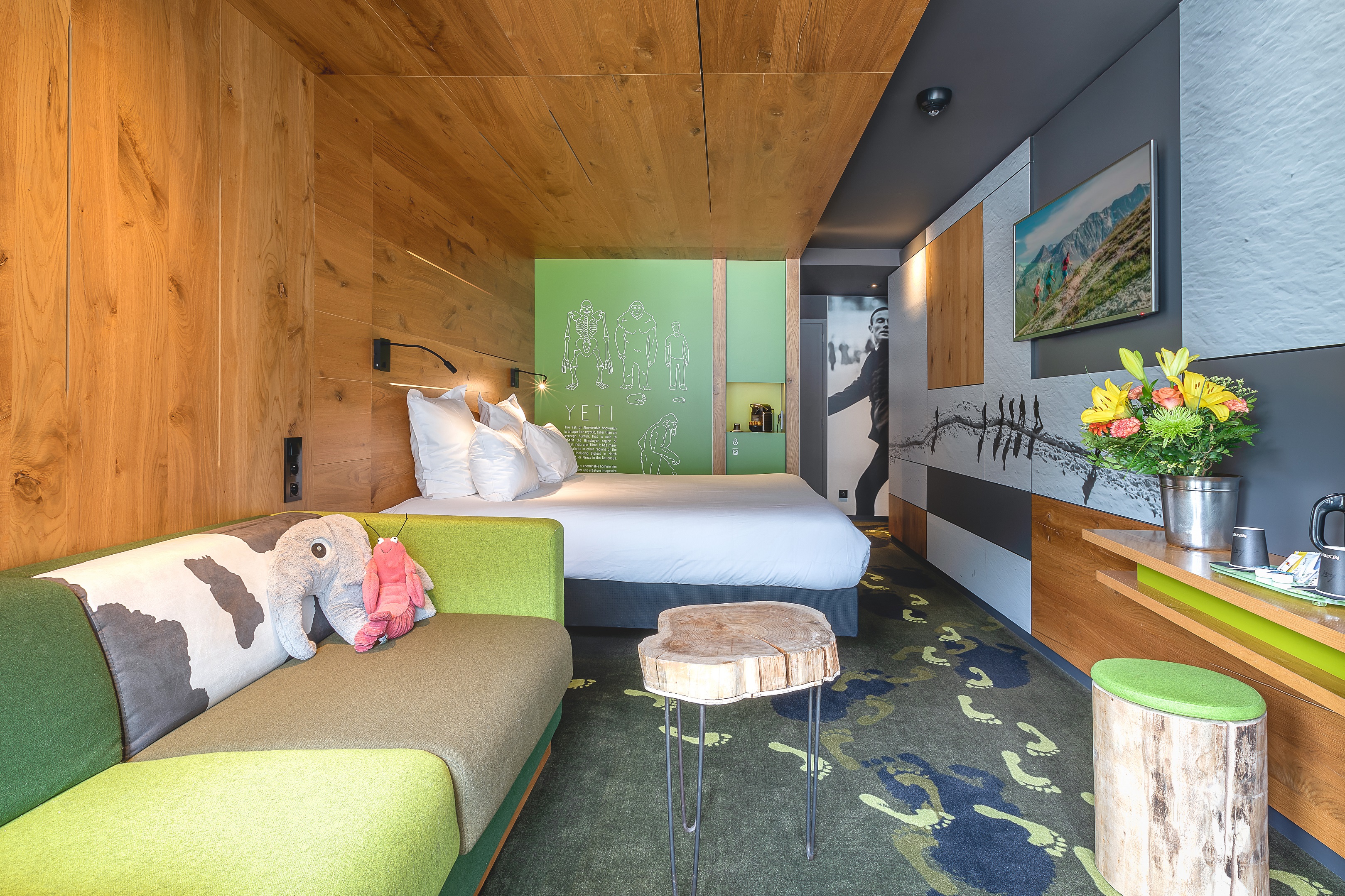 Family Room Superior Mountain View