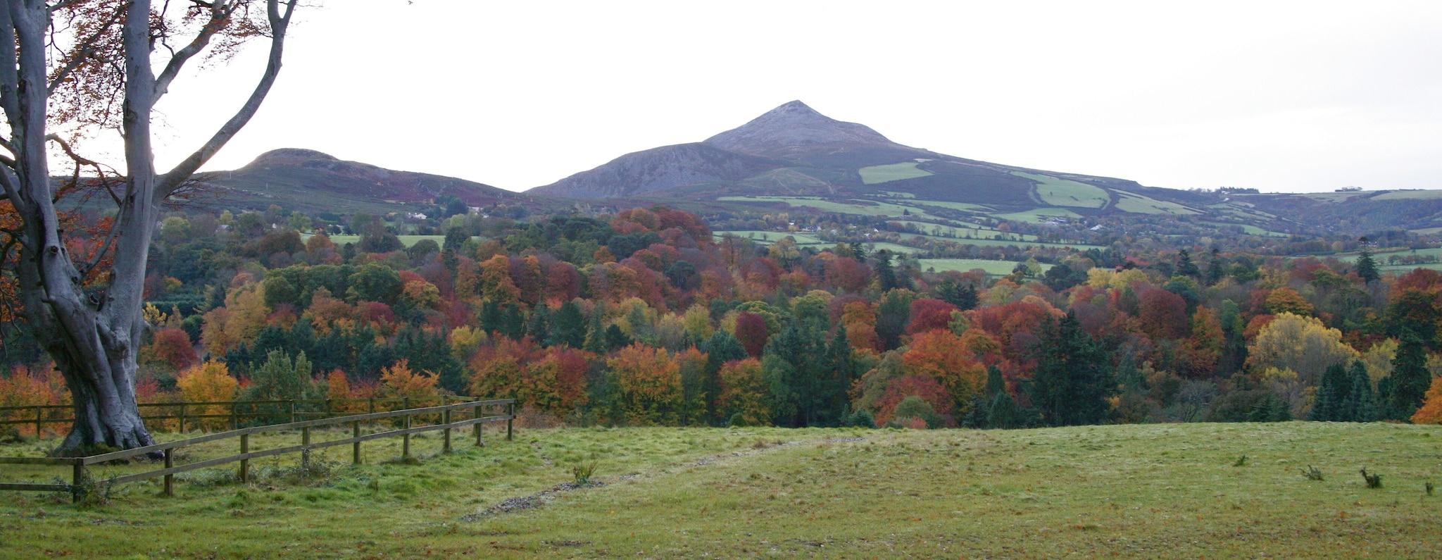 Double Mountain View
