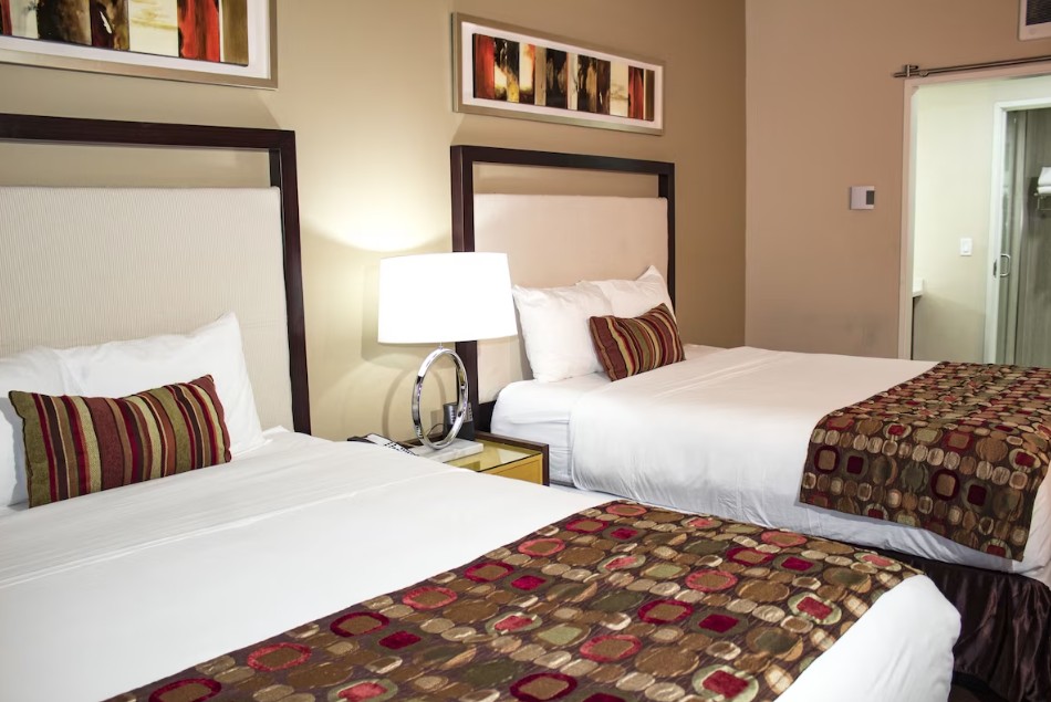 Suite Two Queen Beds