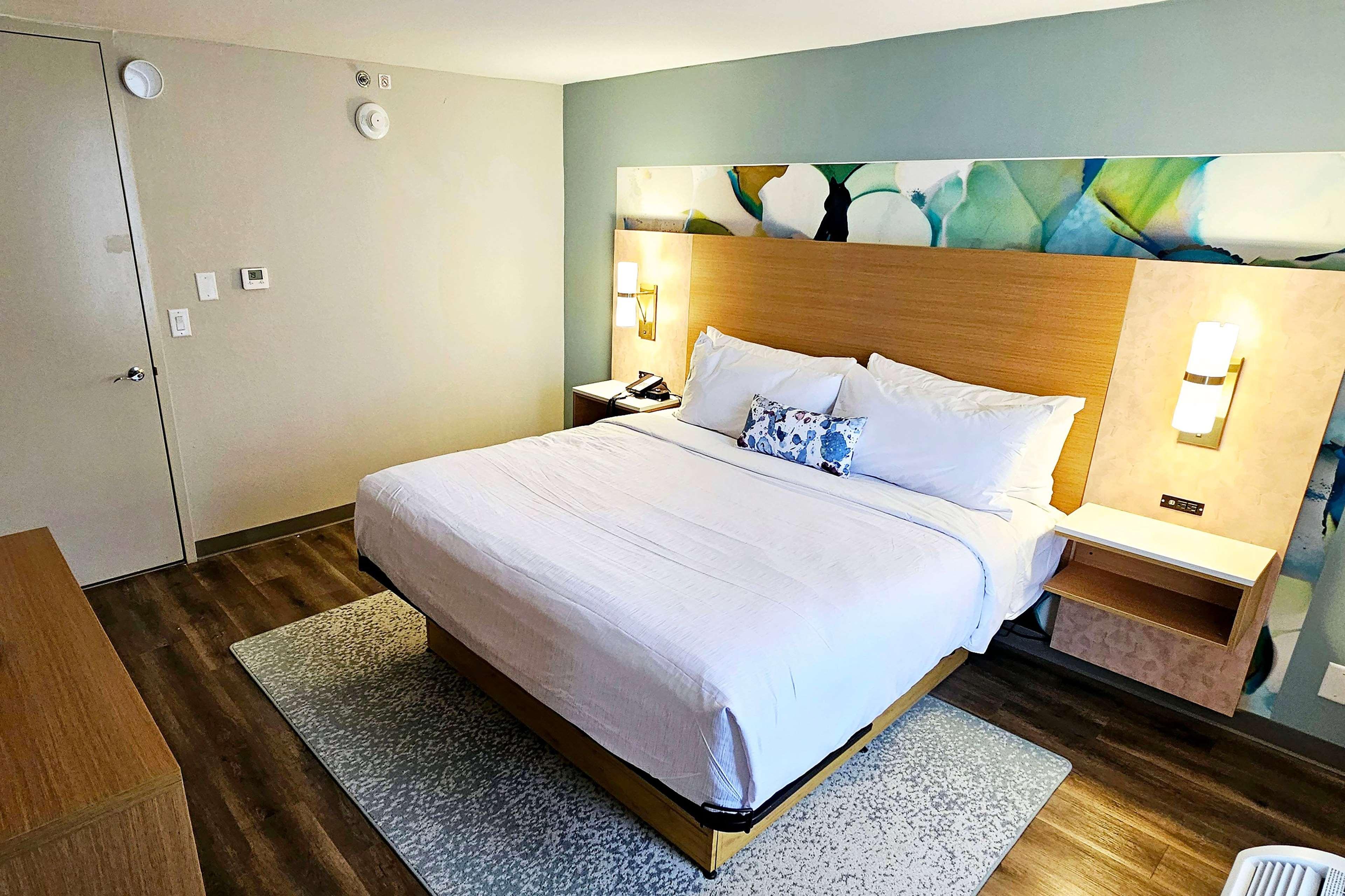 Suite King Bed Non Smoking