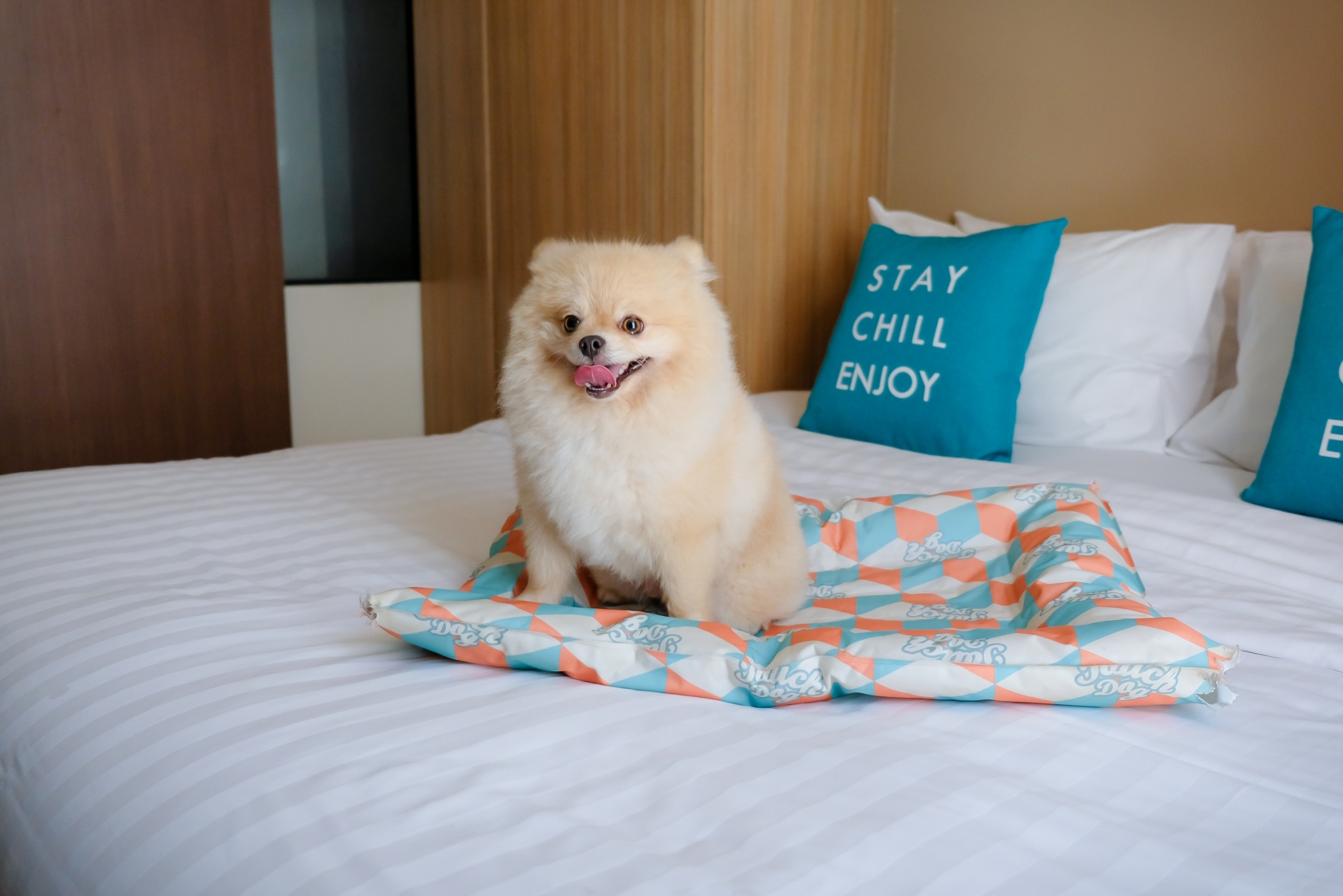 Double or Twin One Bedroom with Terrace