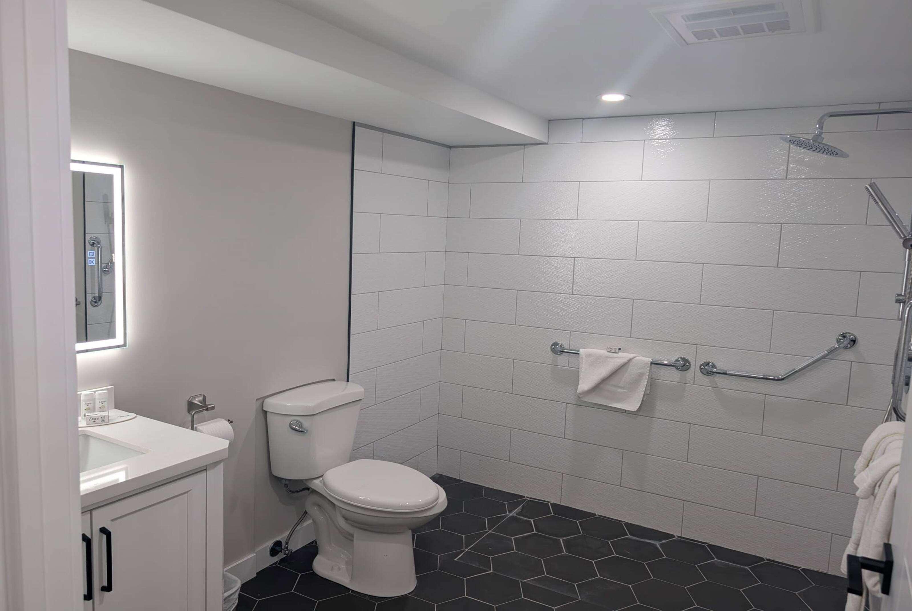 Suite Accessible-queen Size Bed