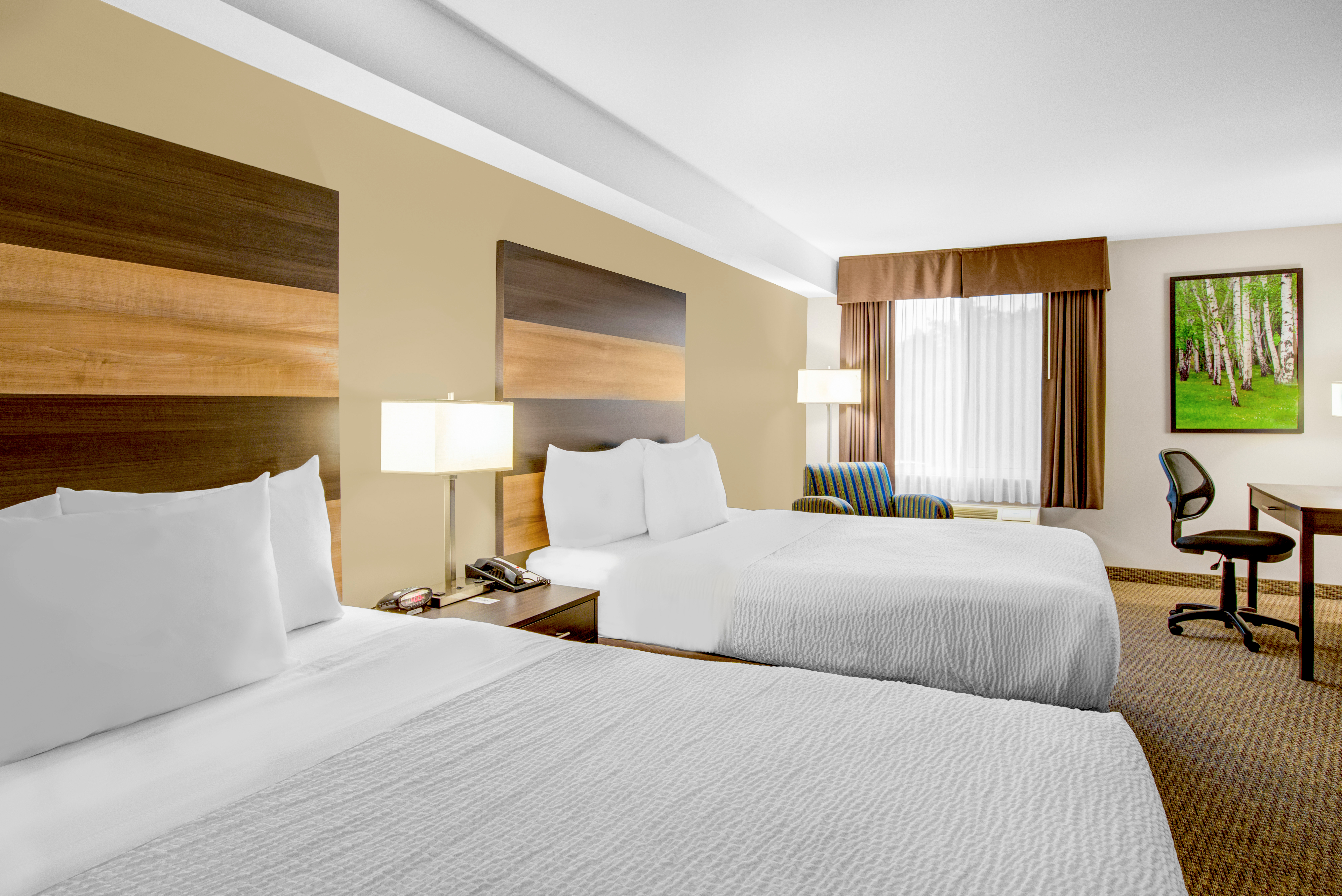 Quadruple Two Queen Beds