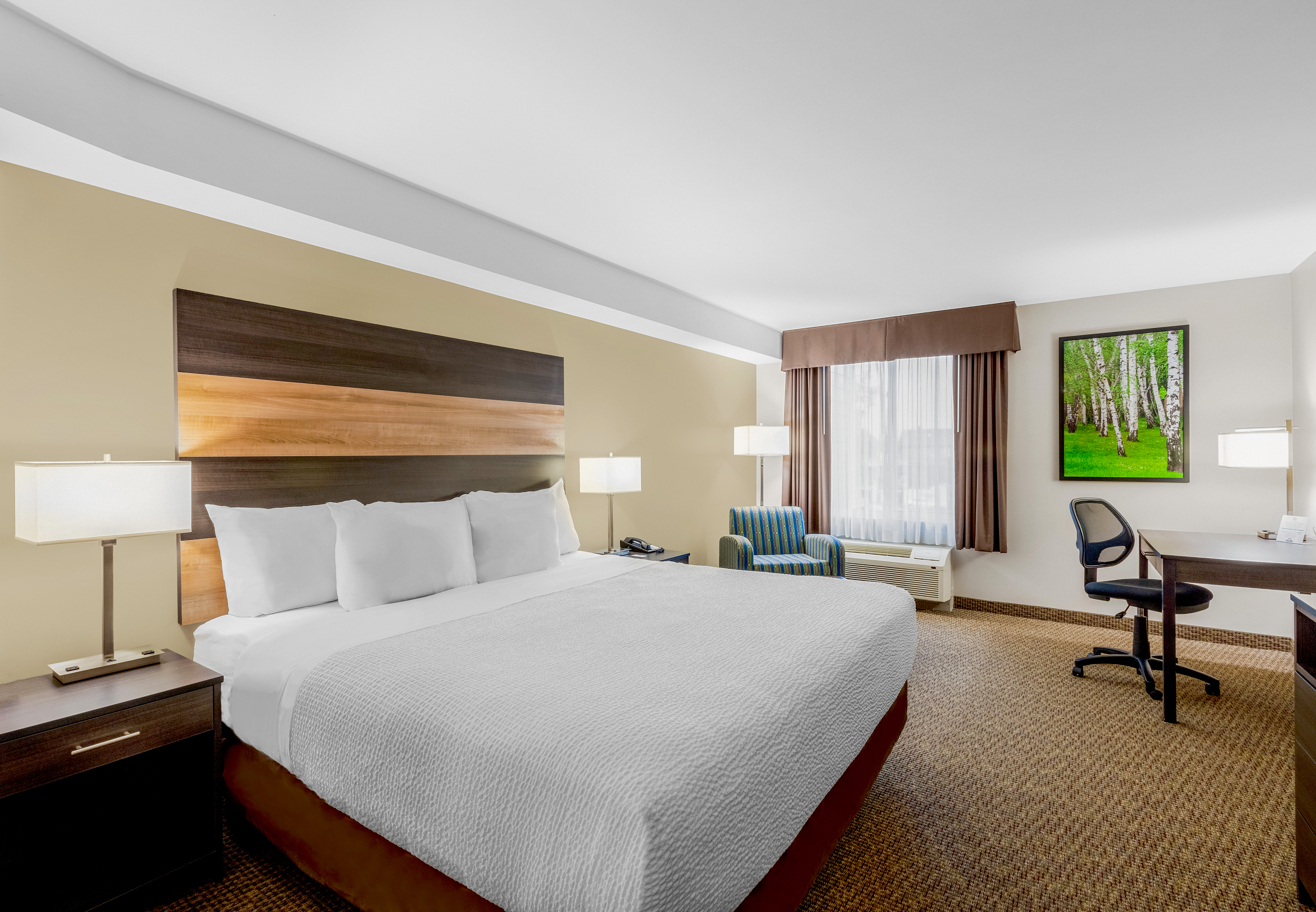 Double King Bed Non Smoking