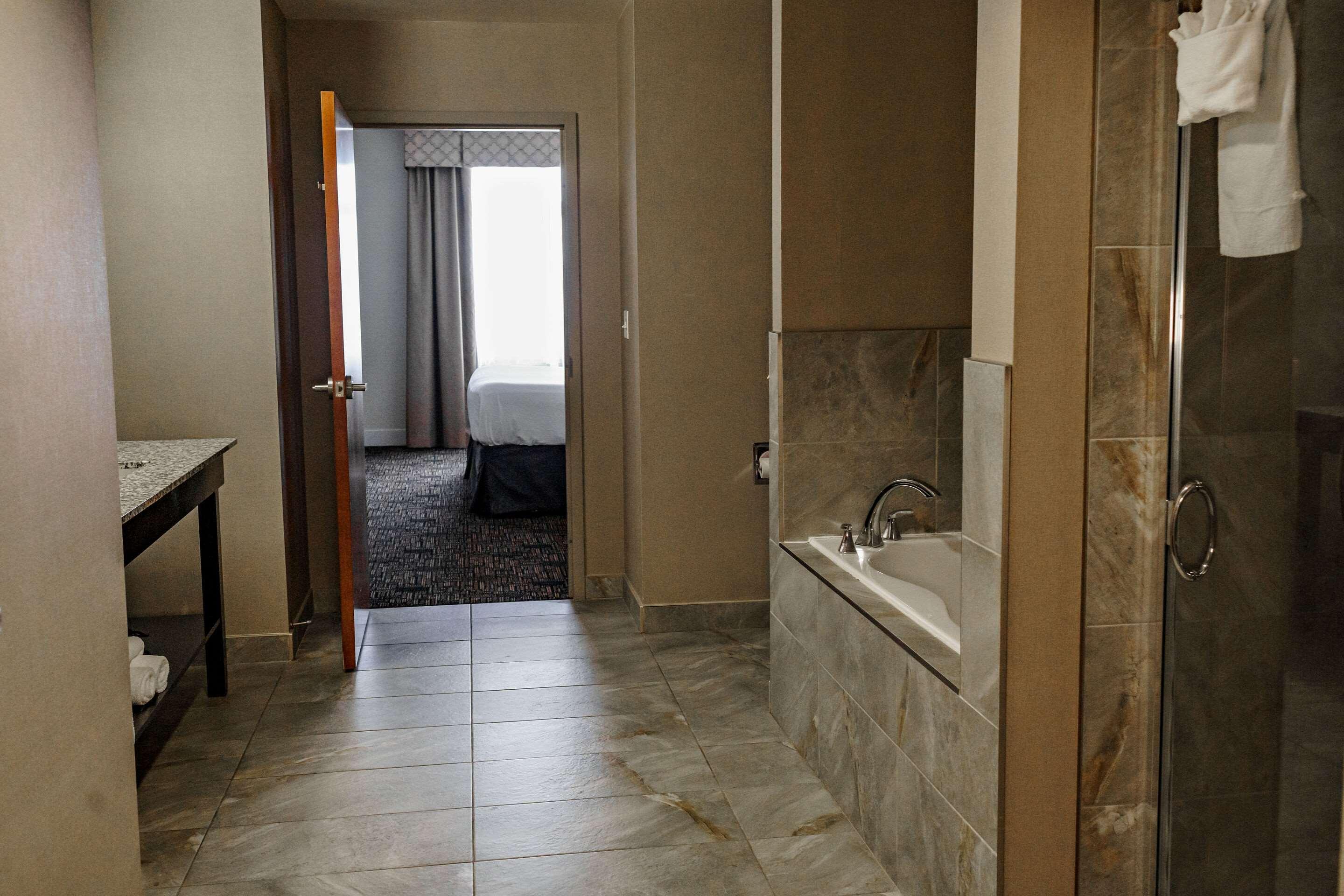 Suite King Bed One Bedroom 