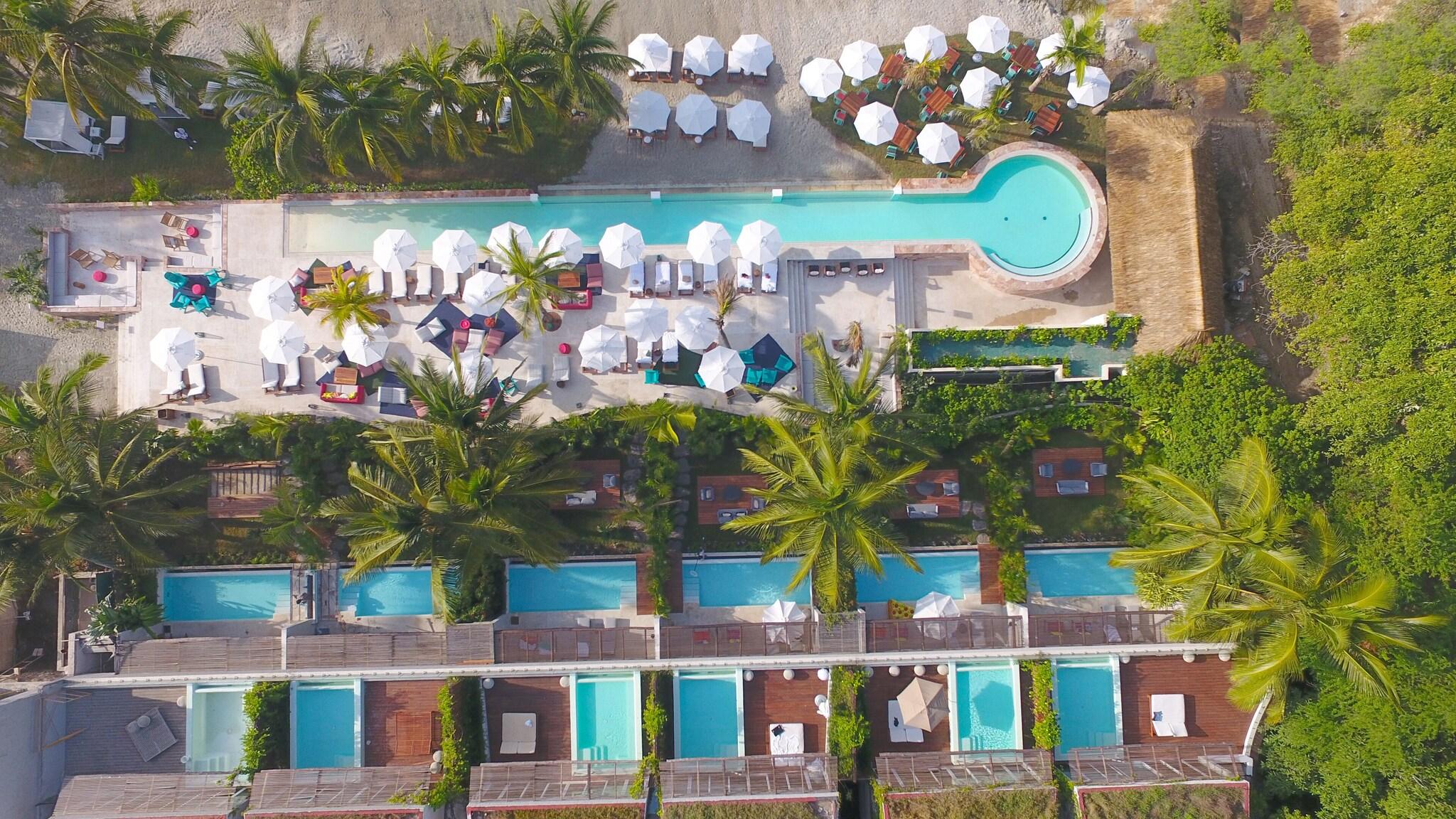 Suite Premier Ocean Front