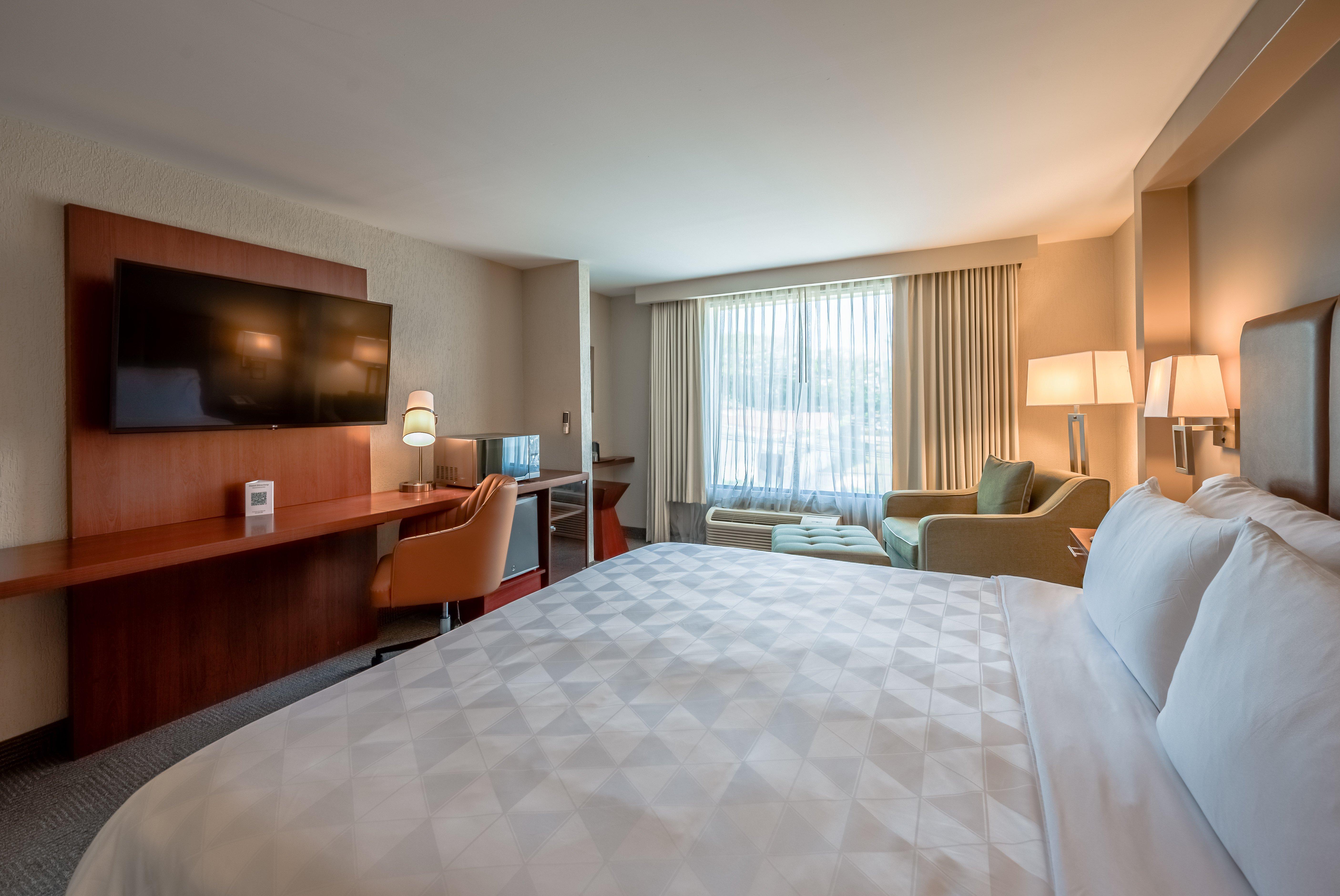 Double City View King Bed