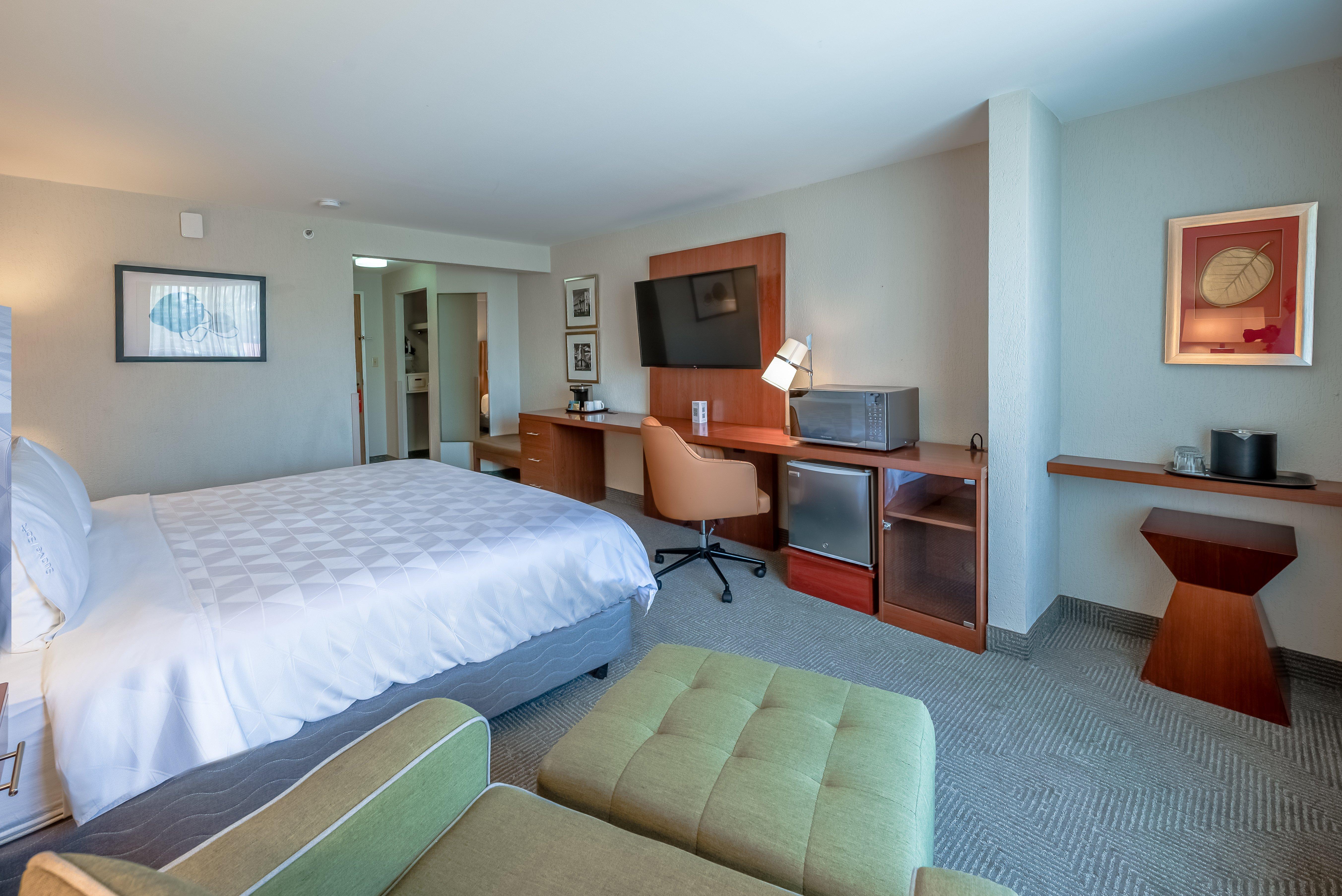 Double City View King Bed