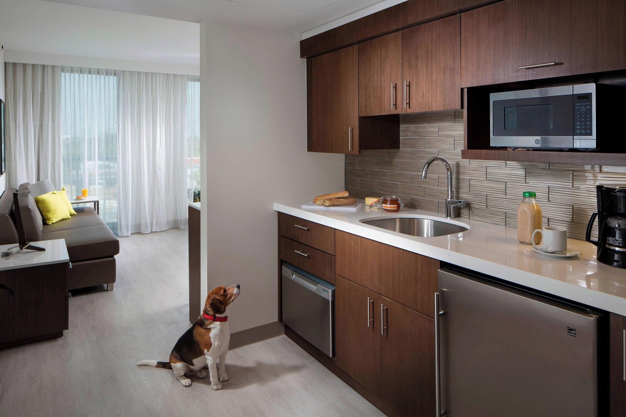 Studio Accessible King Size Bed