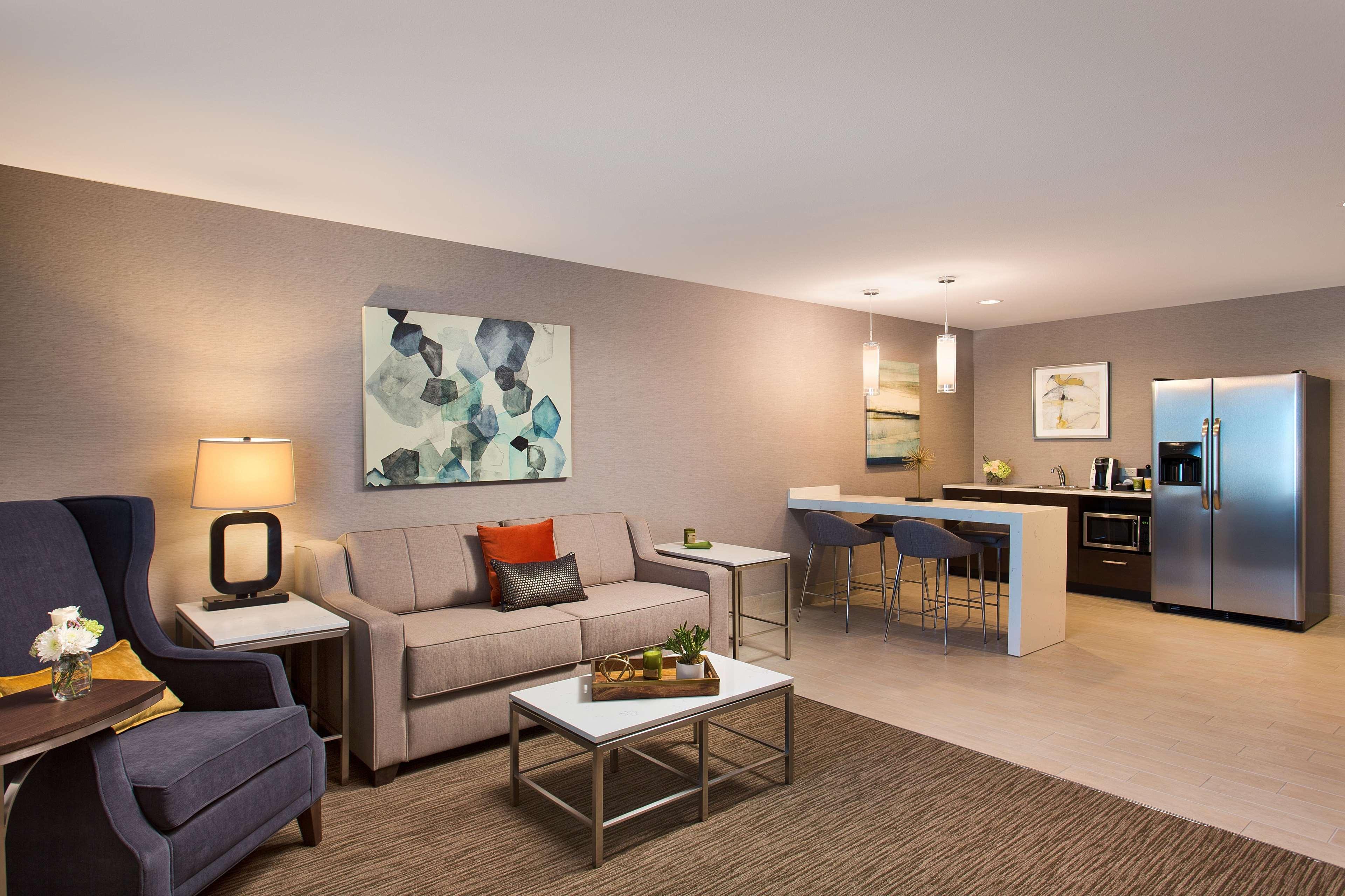 Suite King Bed One Bedroom 