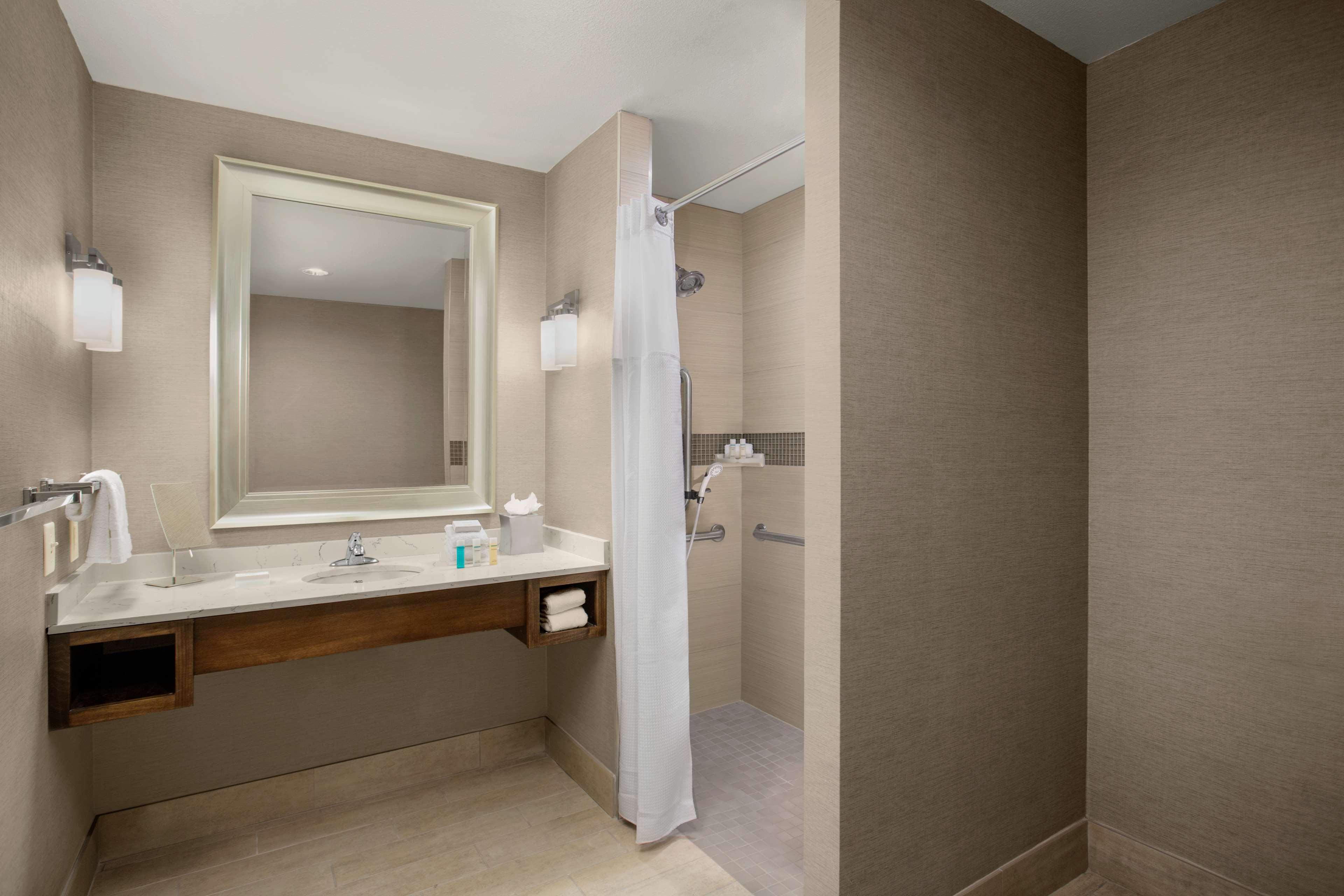 Suite King Bed One Bedroom 