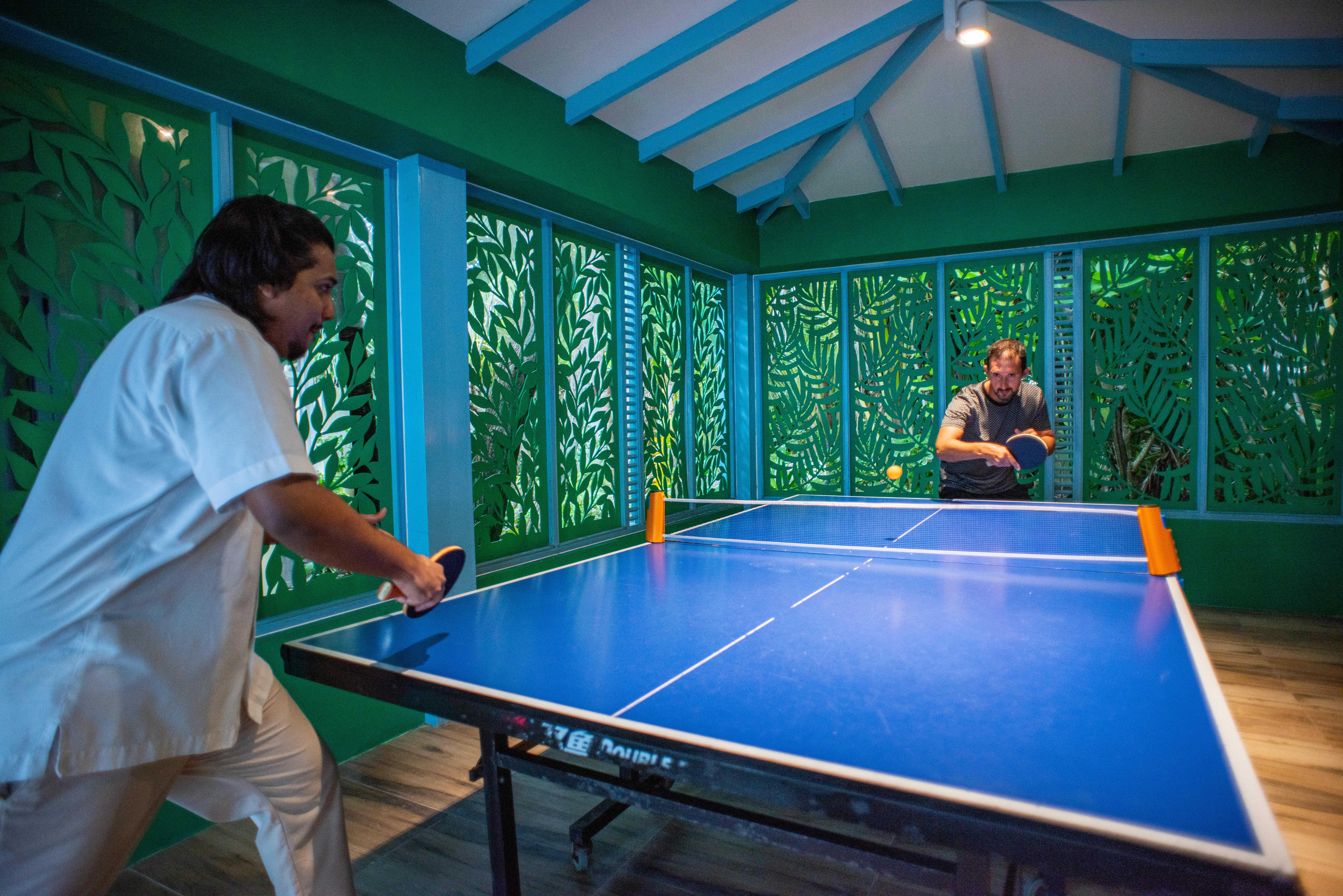 Sports and Entertainment