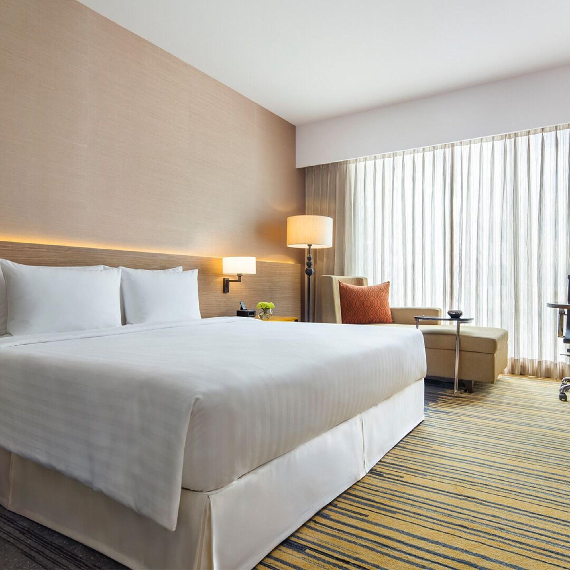 Double City View King Bed