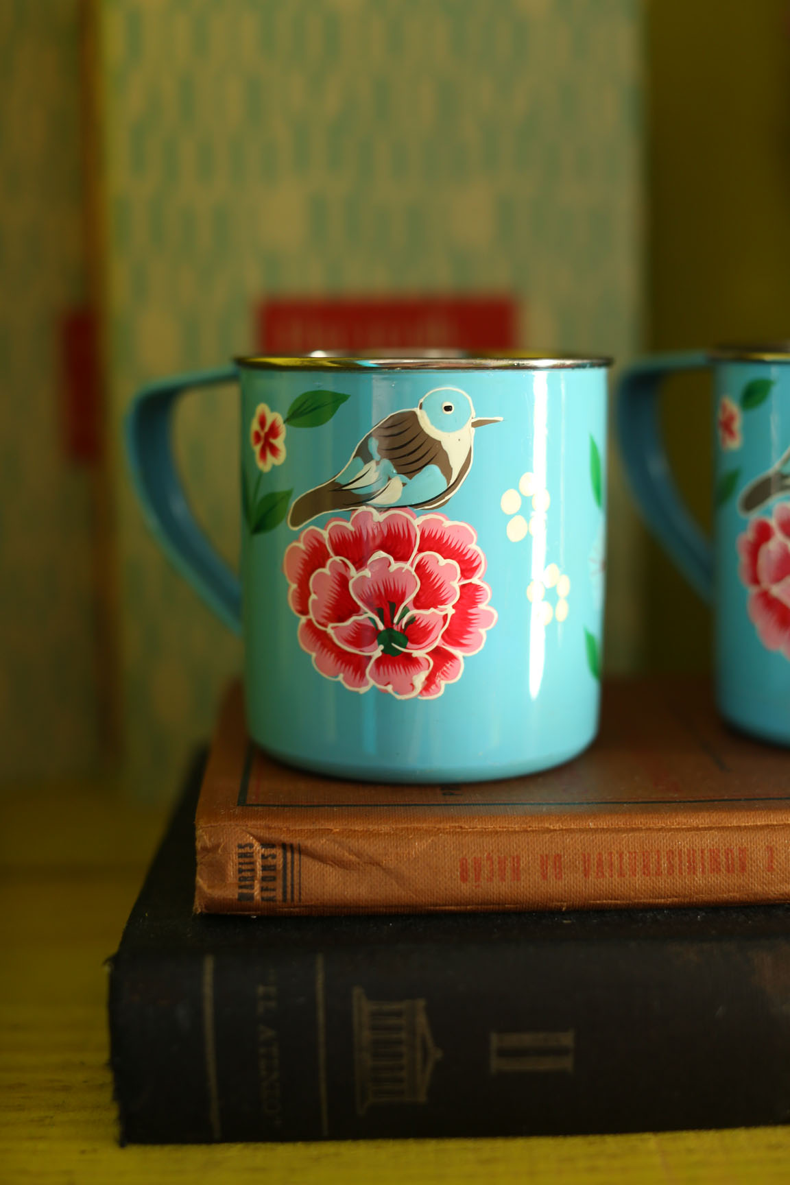 Suite Superior Capacity 4