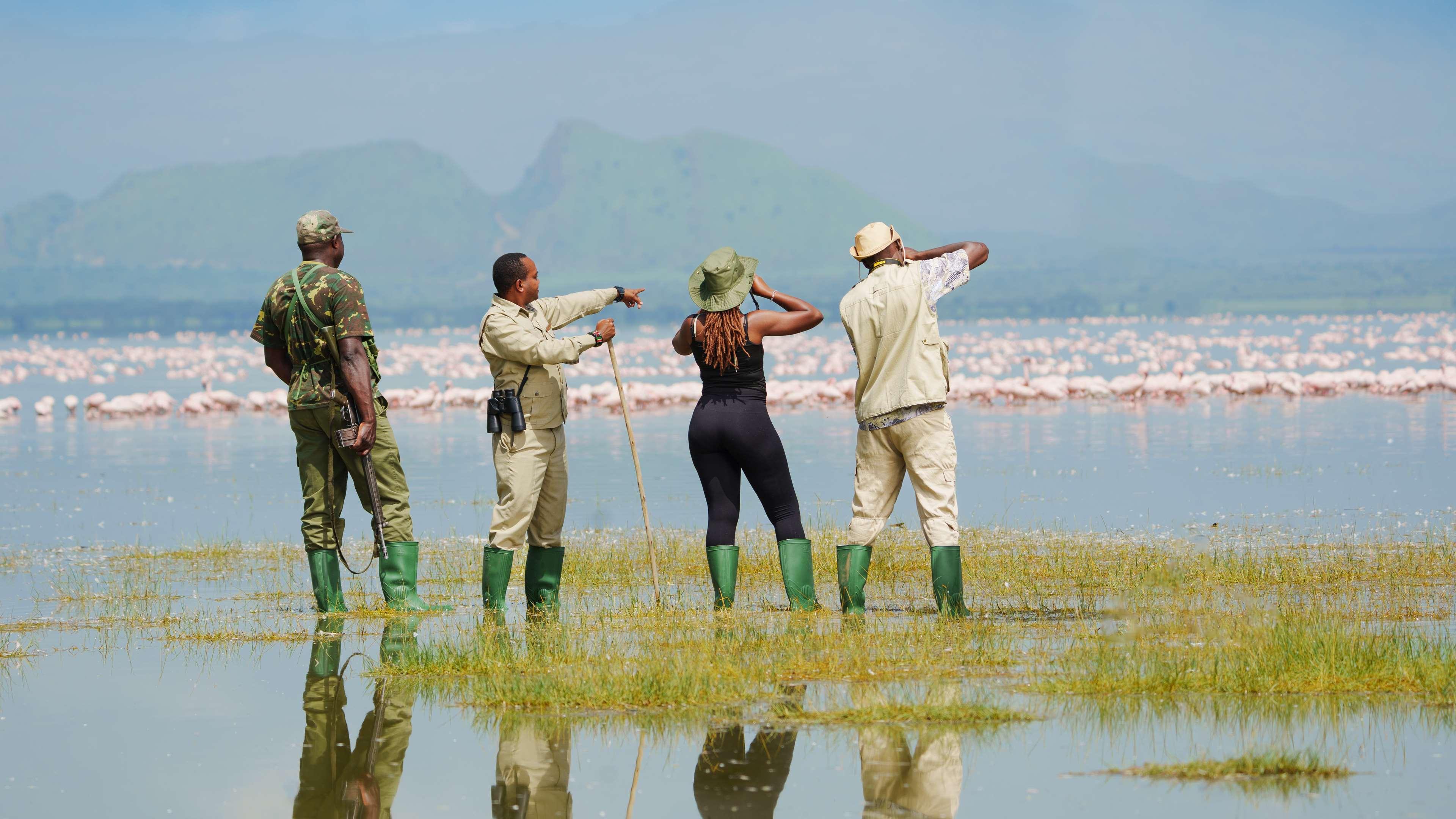 Sports and Entertainment