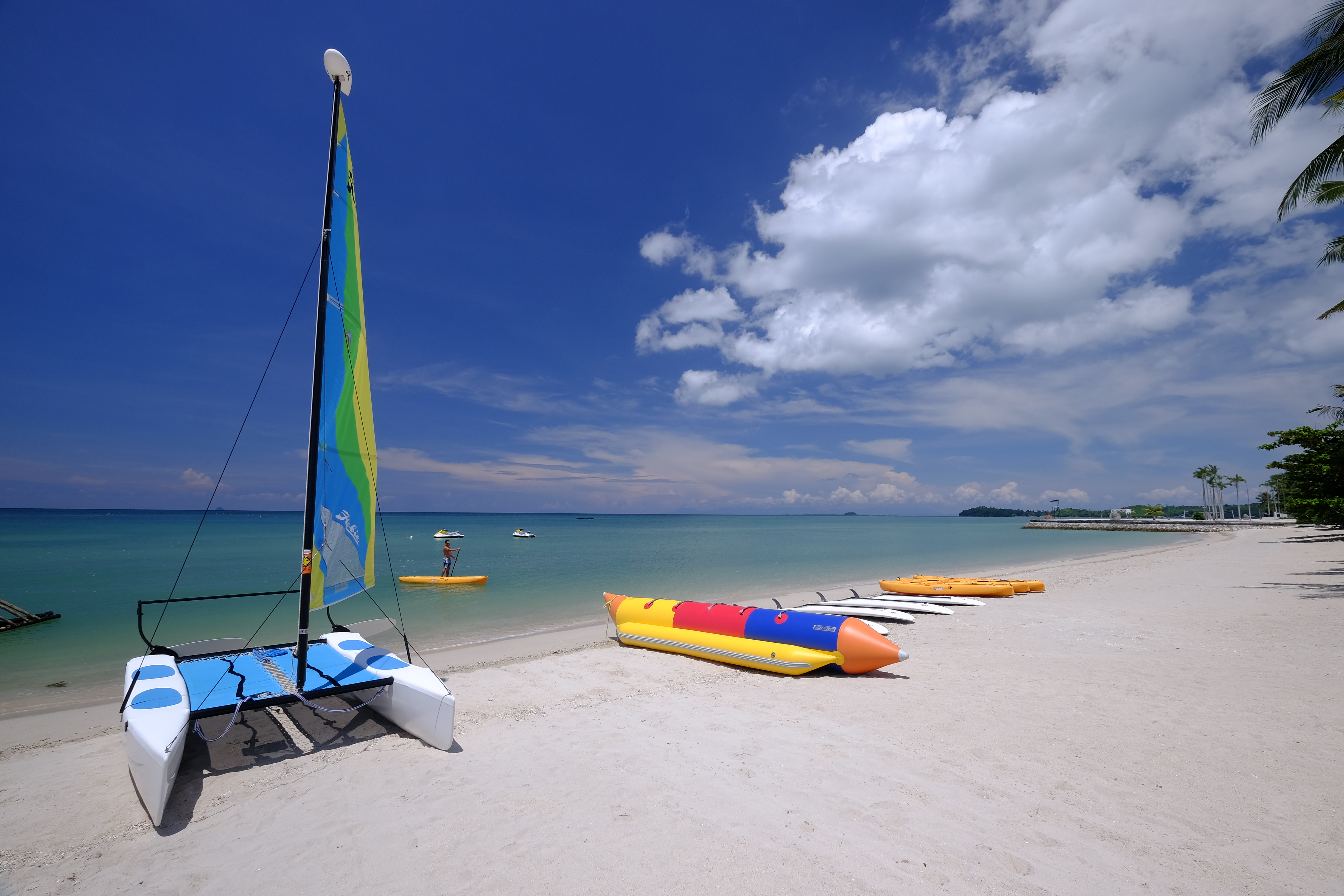 Sports and Entertainment