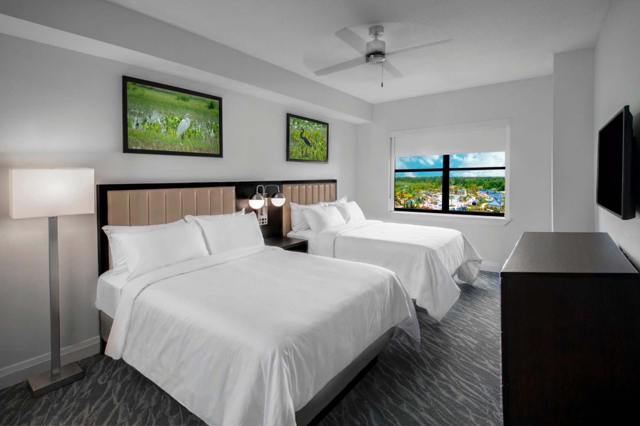 Suite Superior