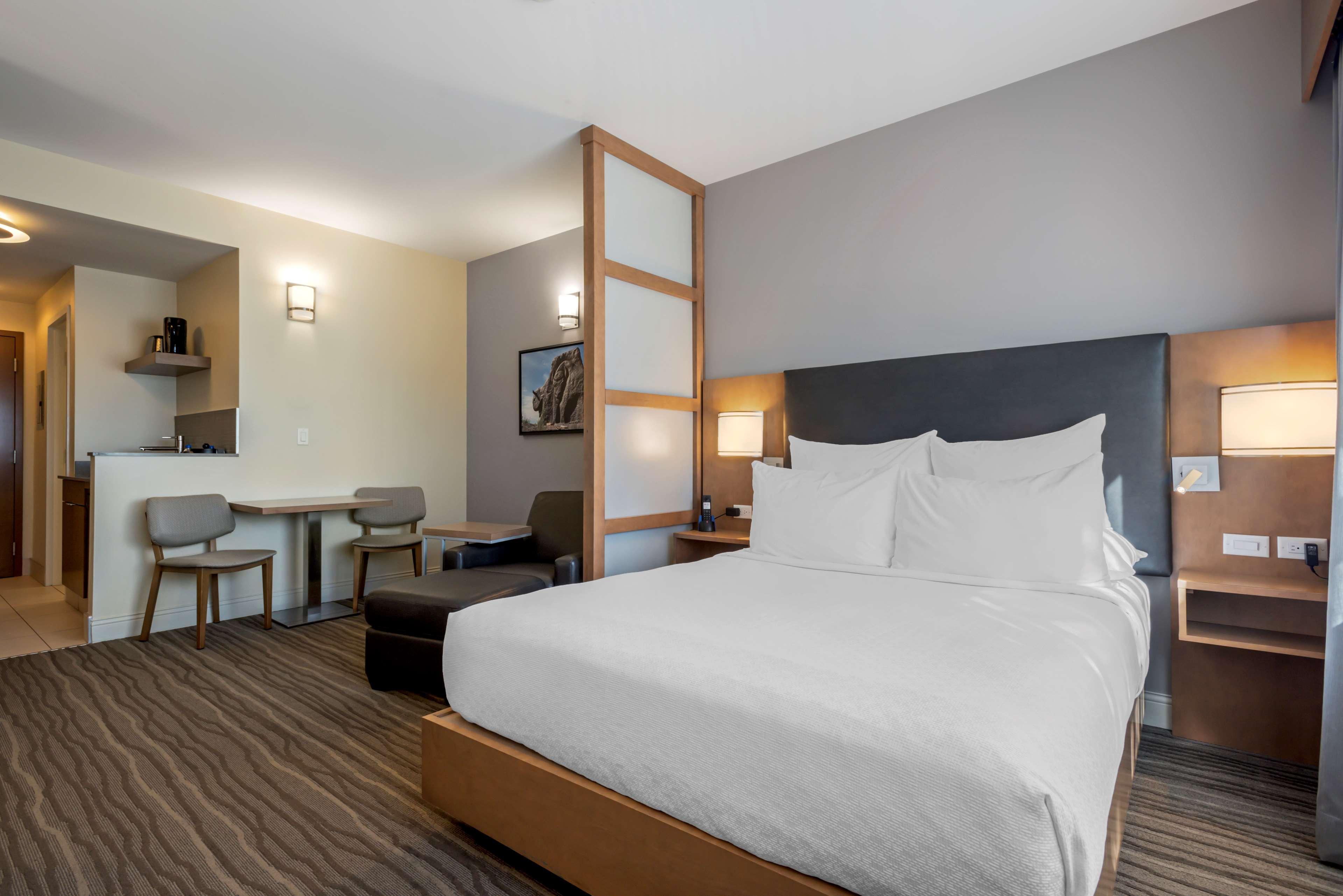 Suite King Bed Non Smoking