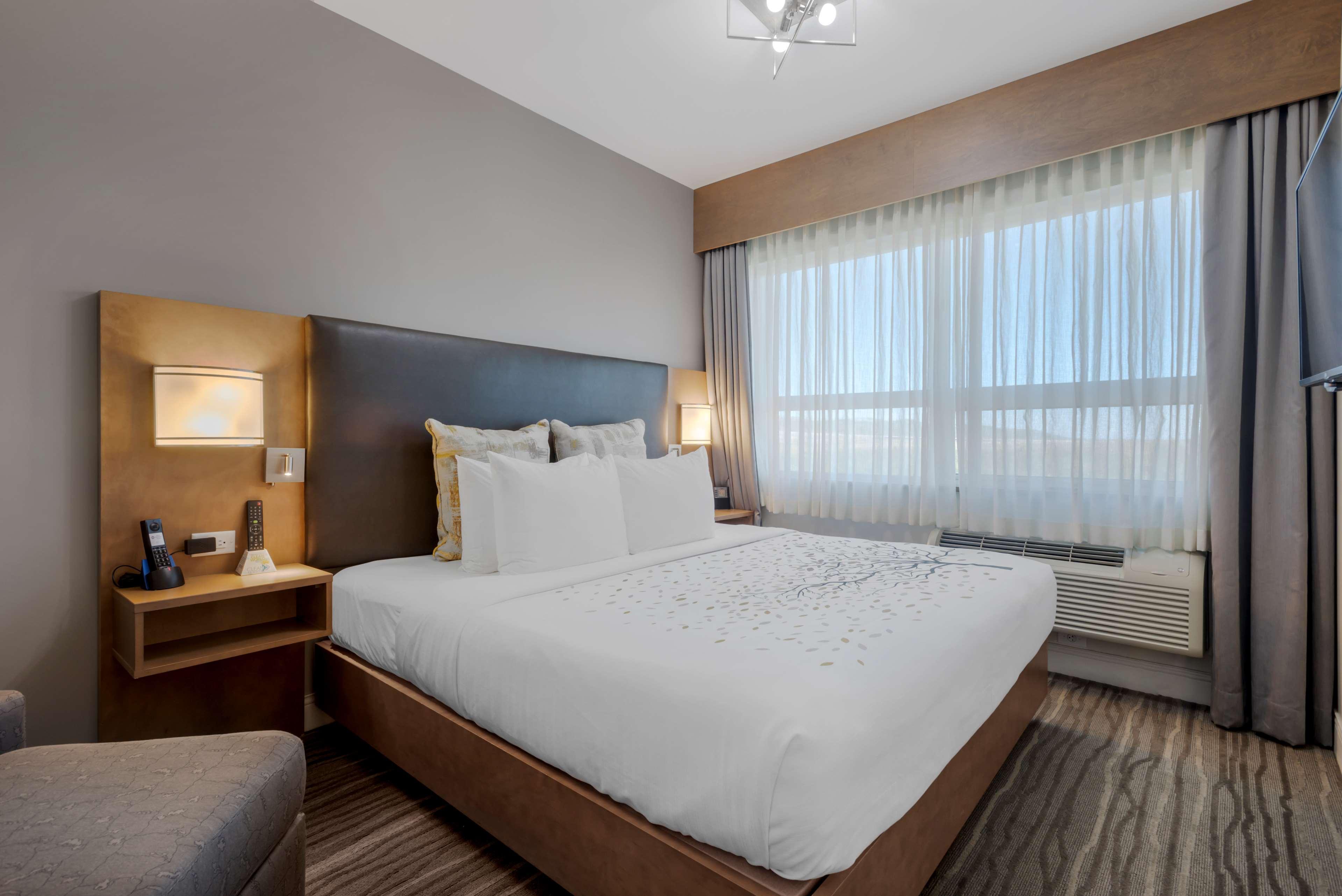 Suite Queen Bed Non Smoking