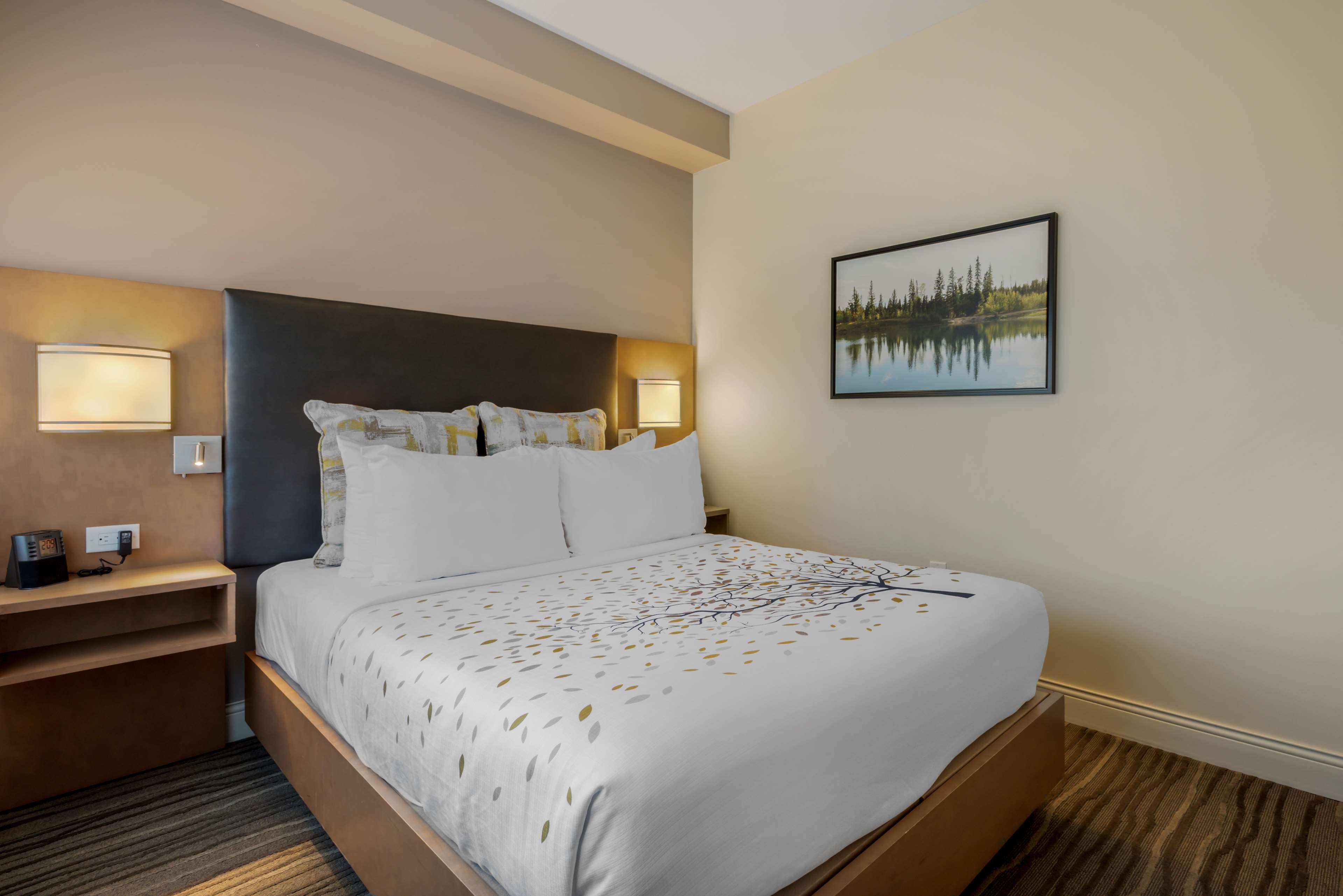 Suite Queen Bed Non Smoking