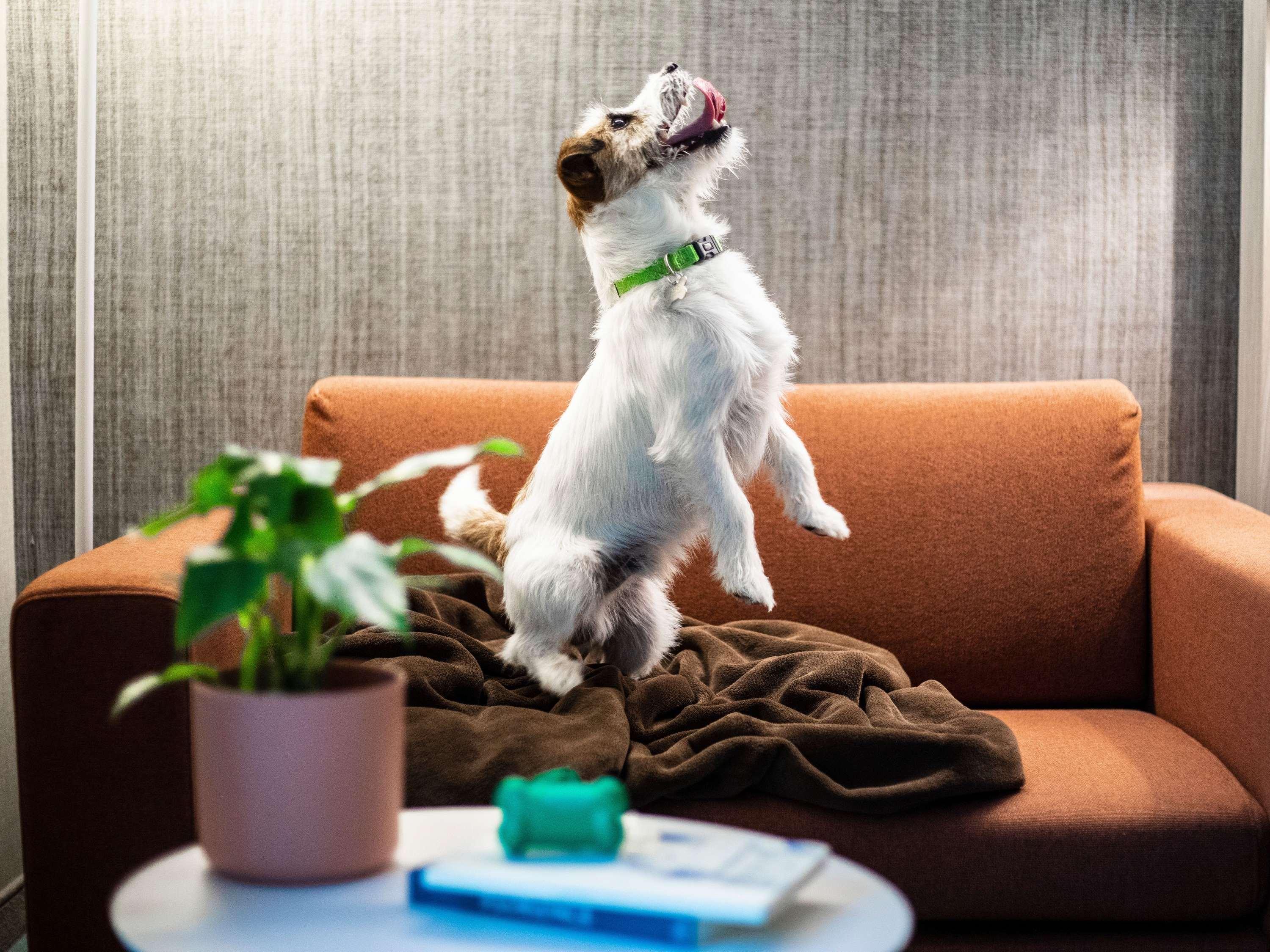 Double Superior King Bed