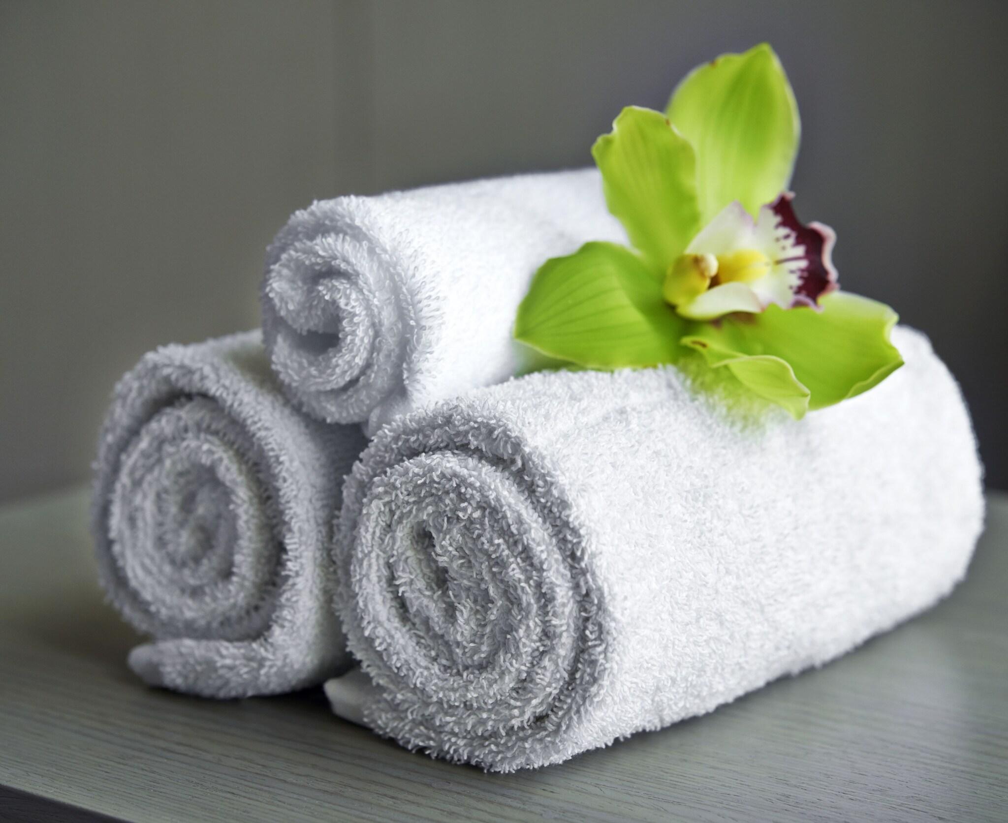 Apartment Executive Queen Bed