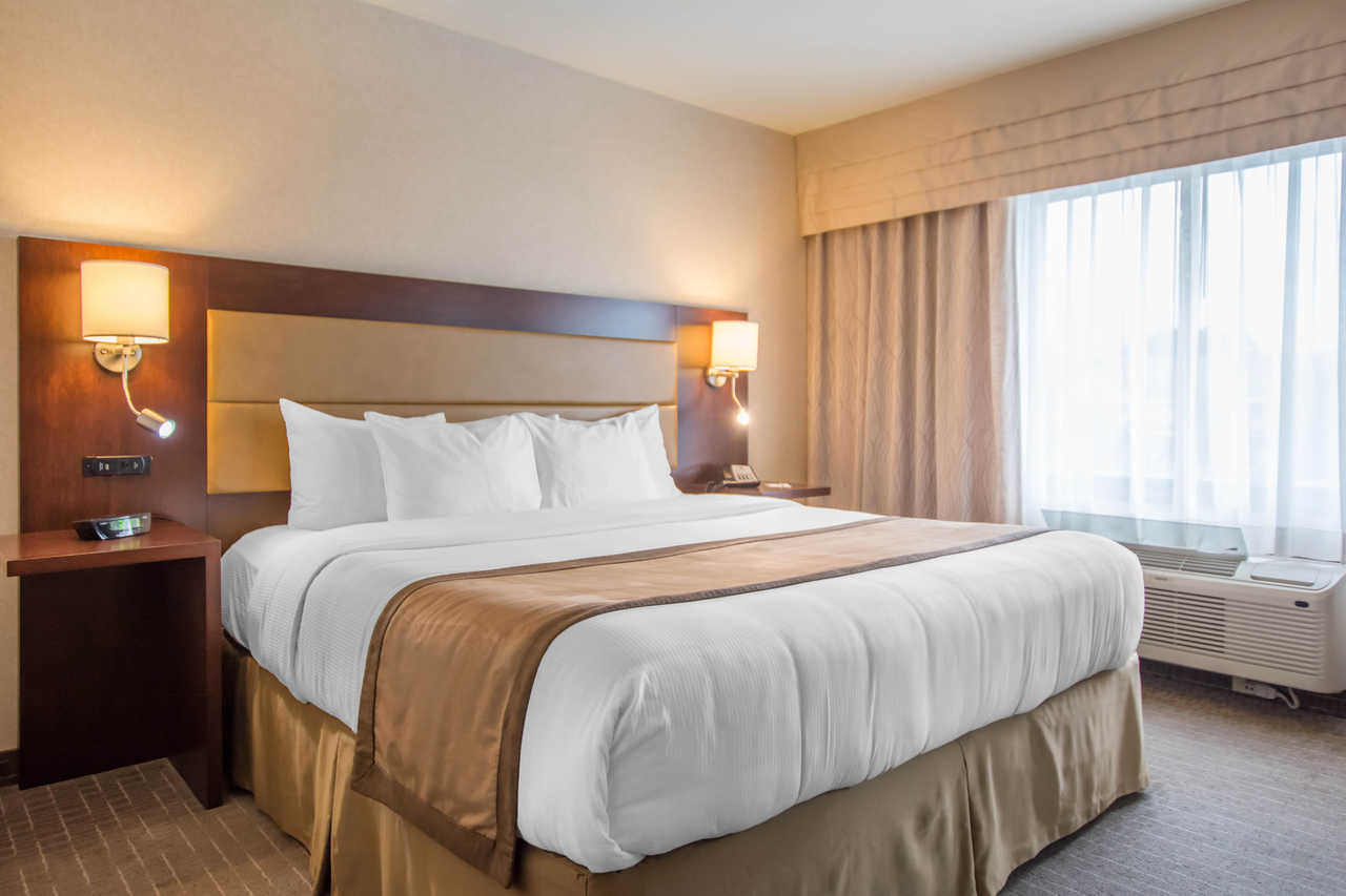 Double King Bed Non Smoking