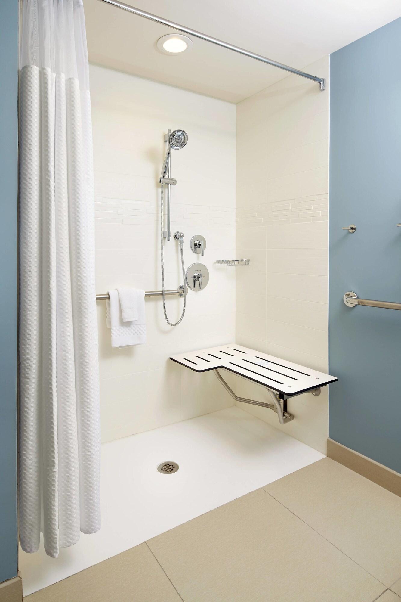 Suite King Bed One Bedroom 