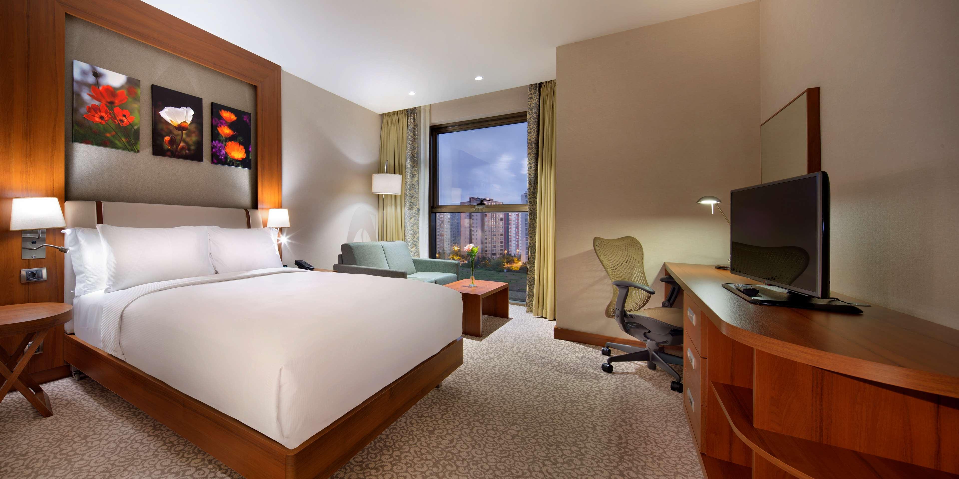 Family Room Queen Size Bed