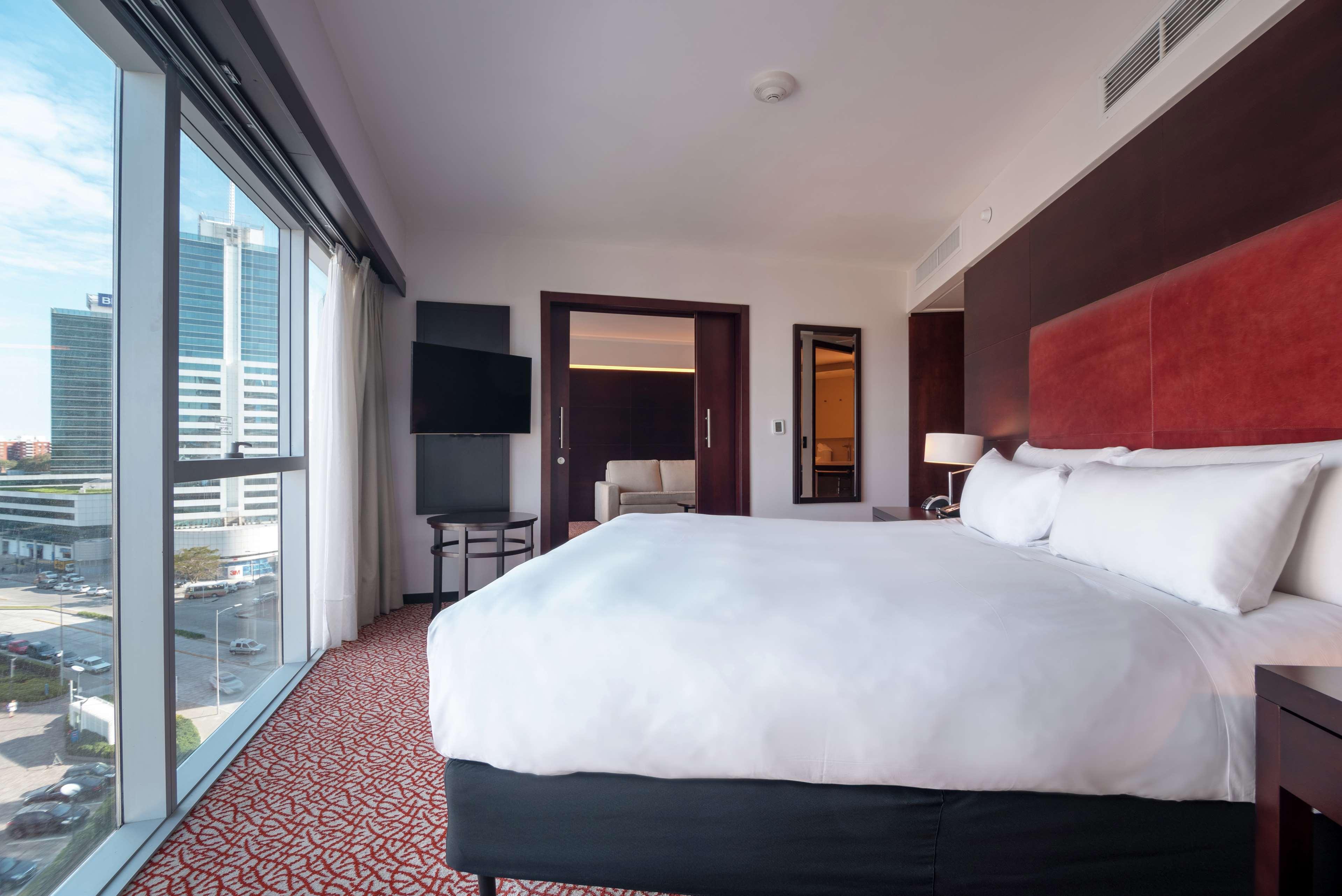 Suite King Bed One Bedroom 