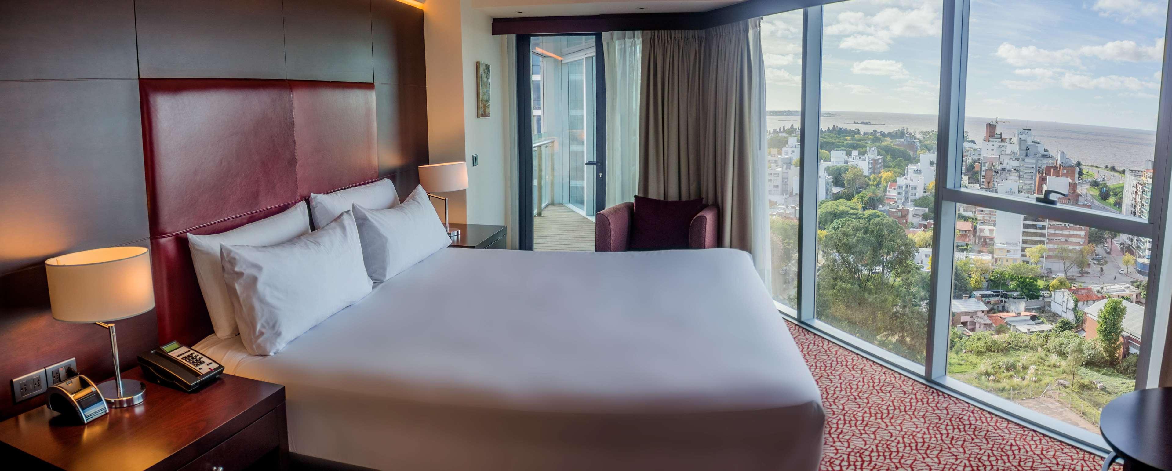 Suite King Bed One Bedroom 