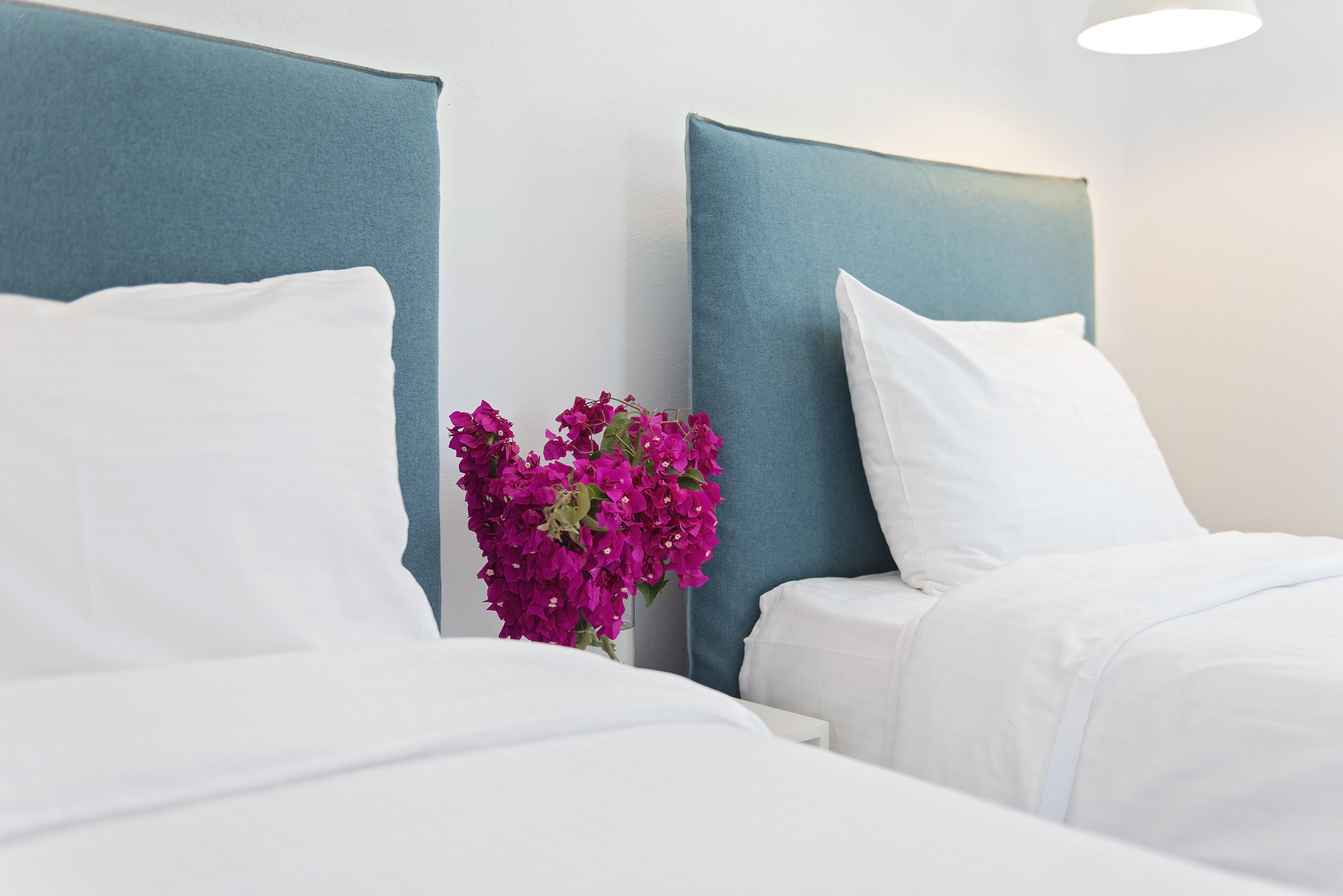 Family Room Garden View