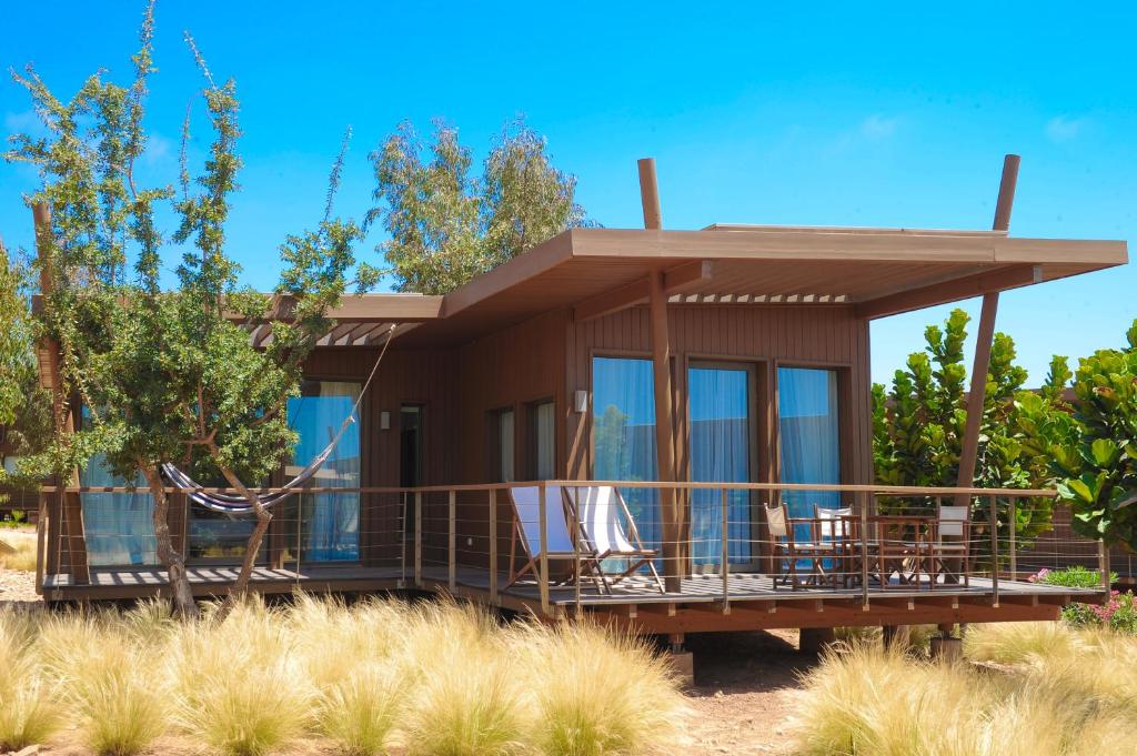 Suite One Bedroom with Terrace