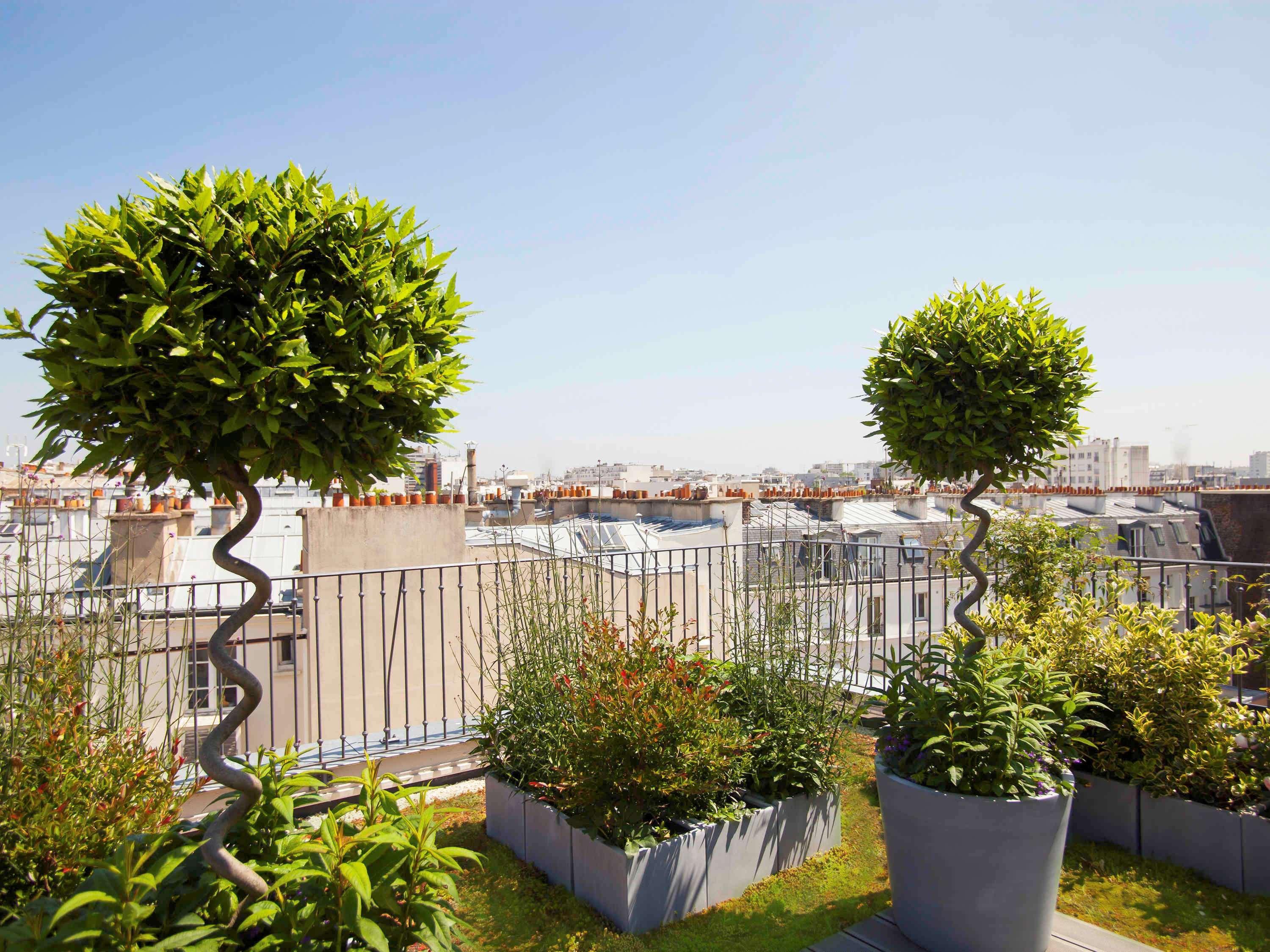 Junior Suite King Size Bed