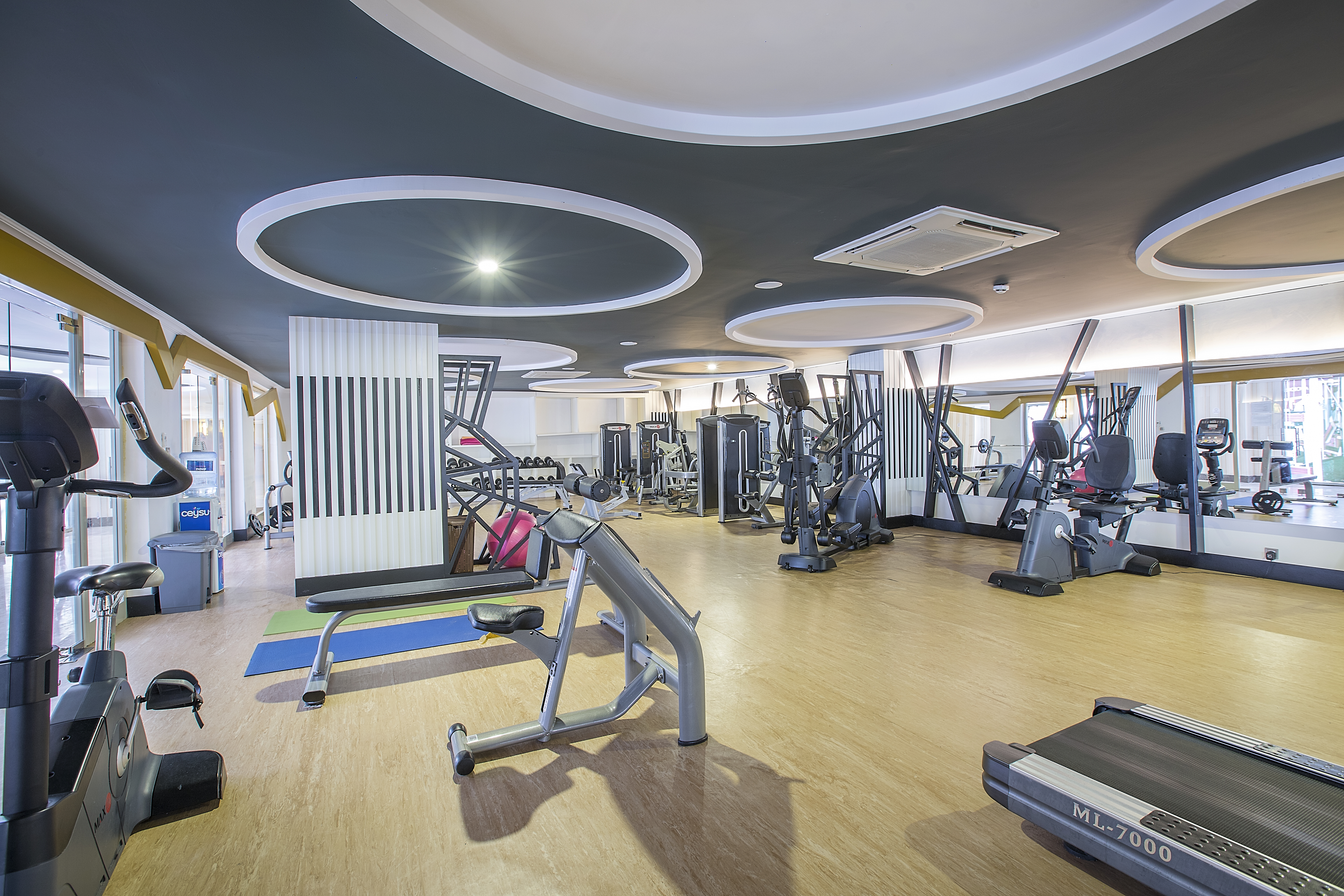 Sports and Entertainment