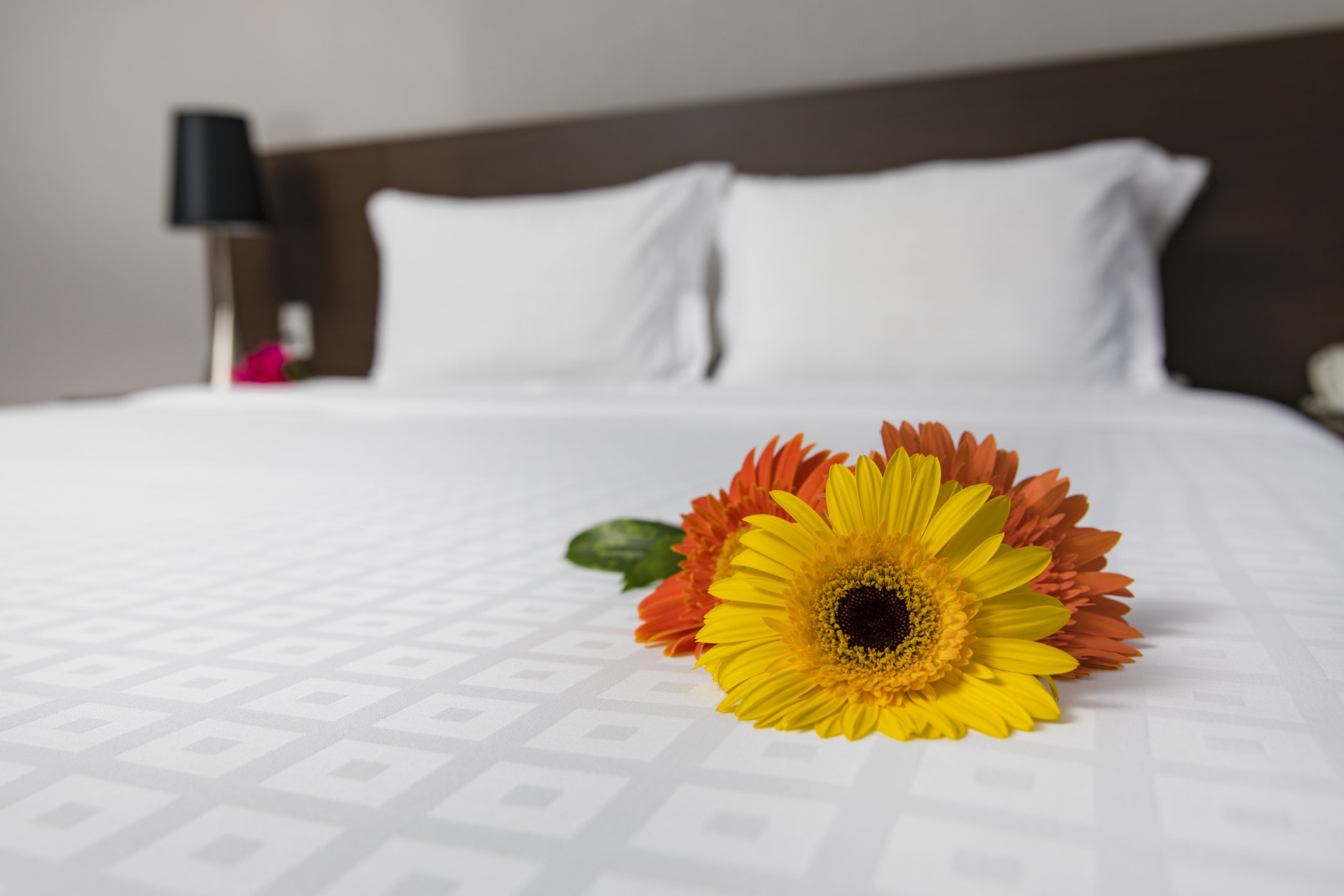 Room Classic King Bed